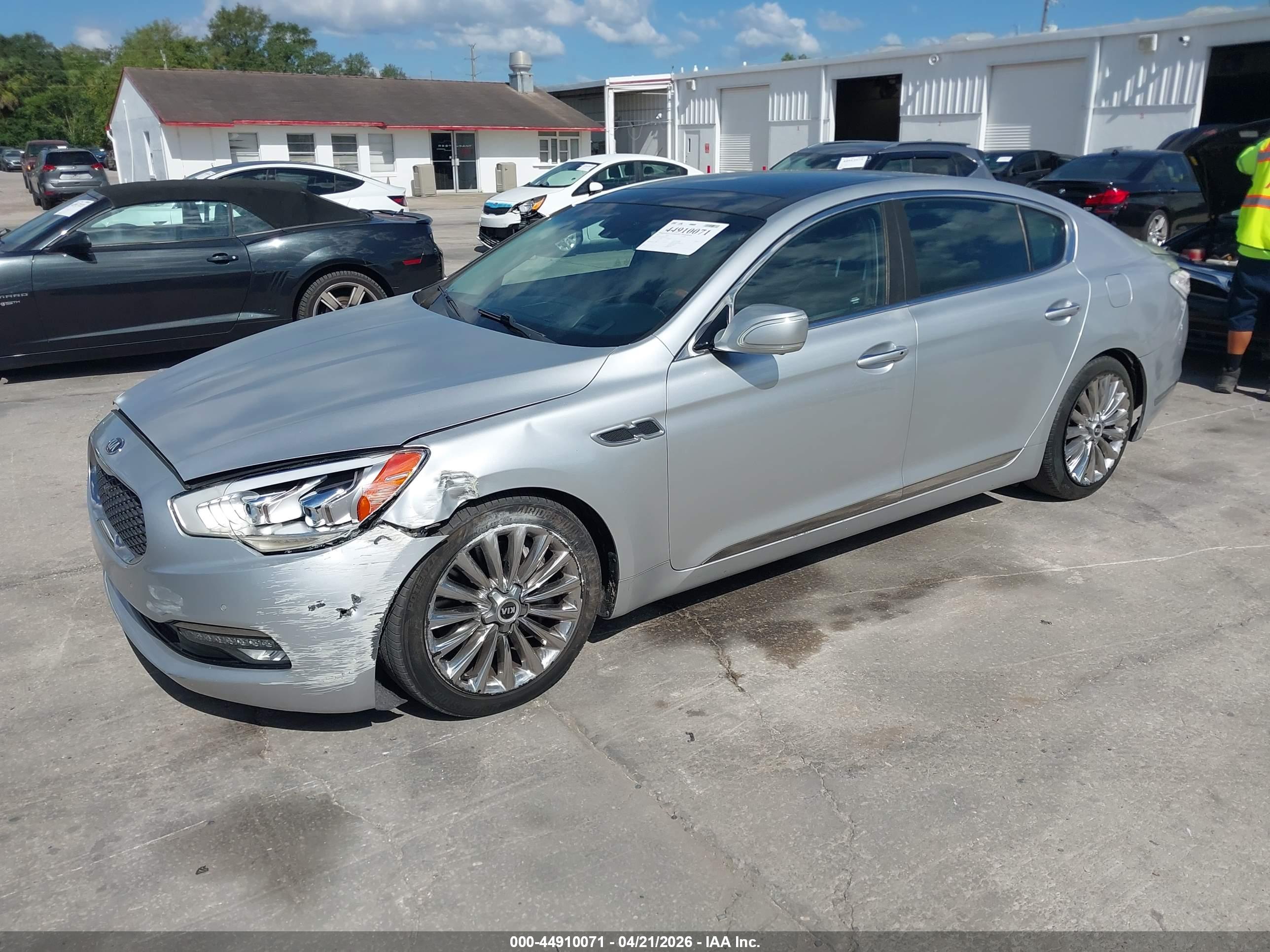 KIA K900 image 2