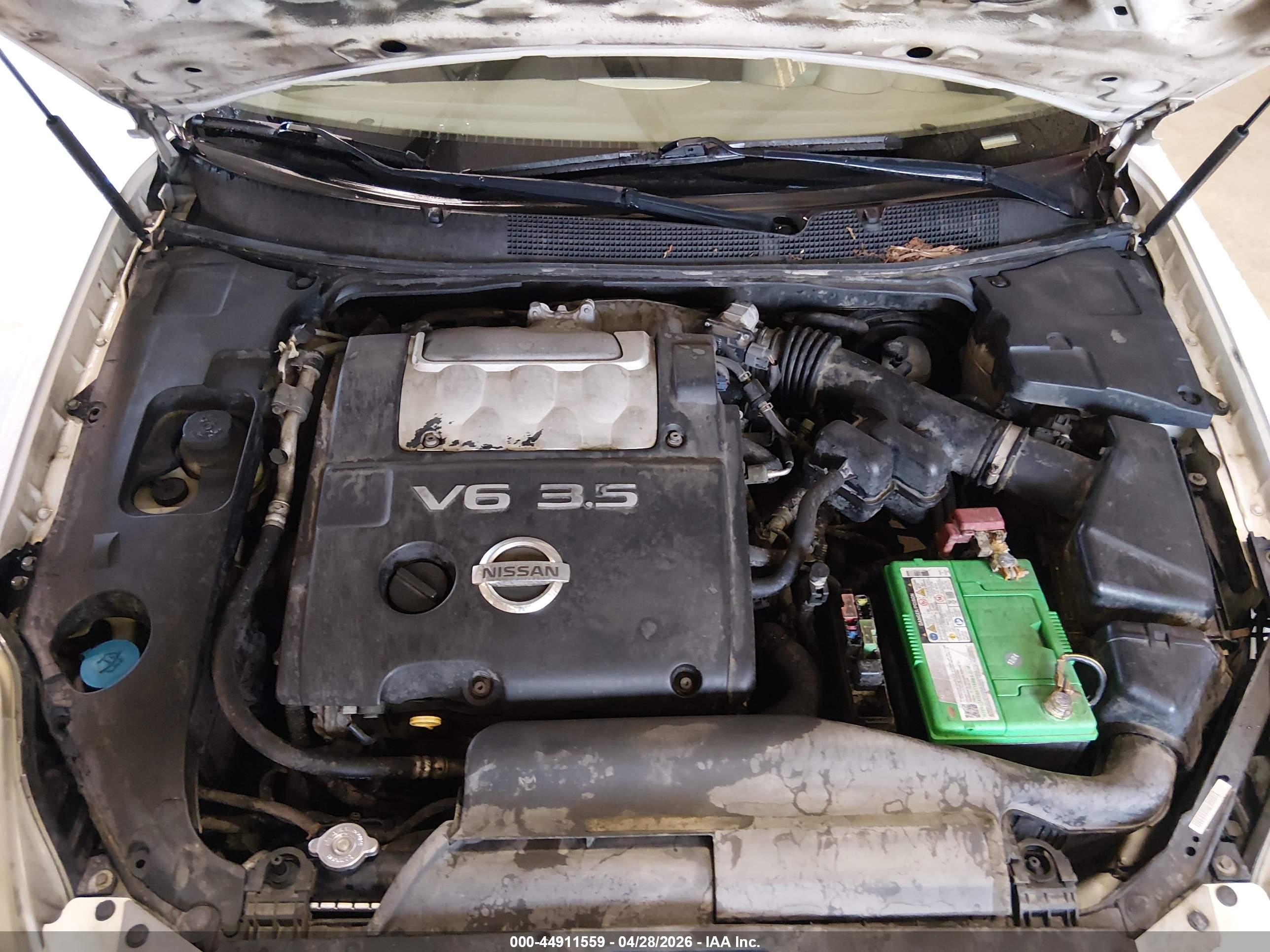 NISSAN MAXIMA image 10