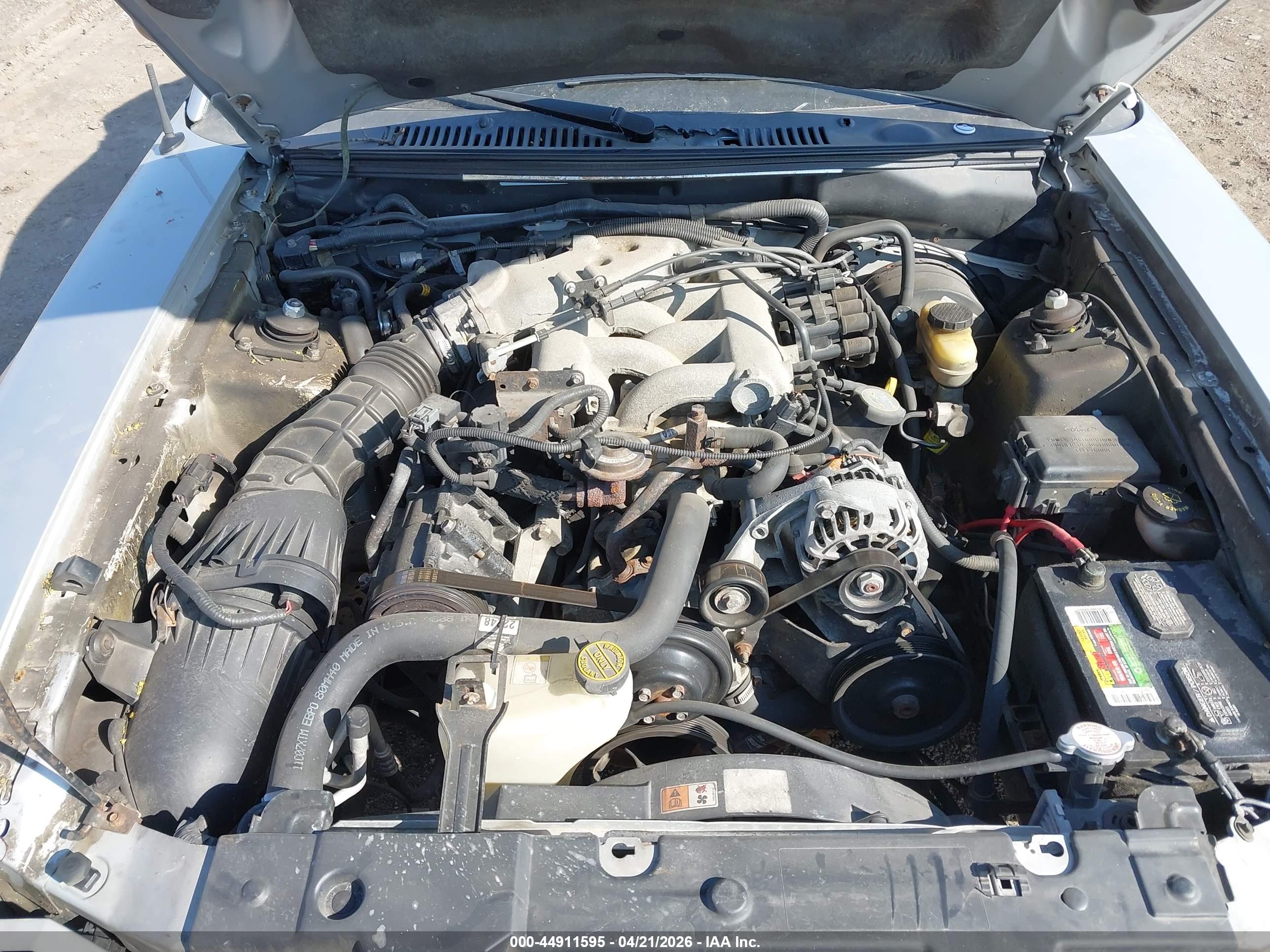 FORD MUSTANG image 10