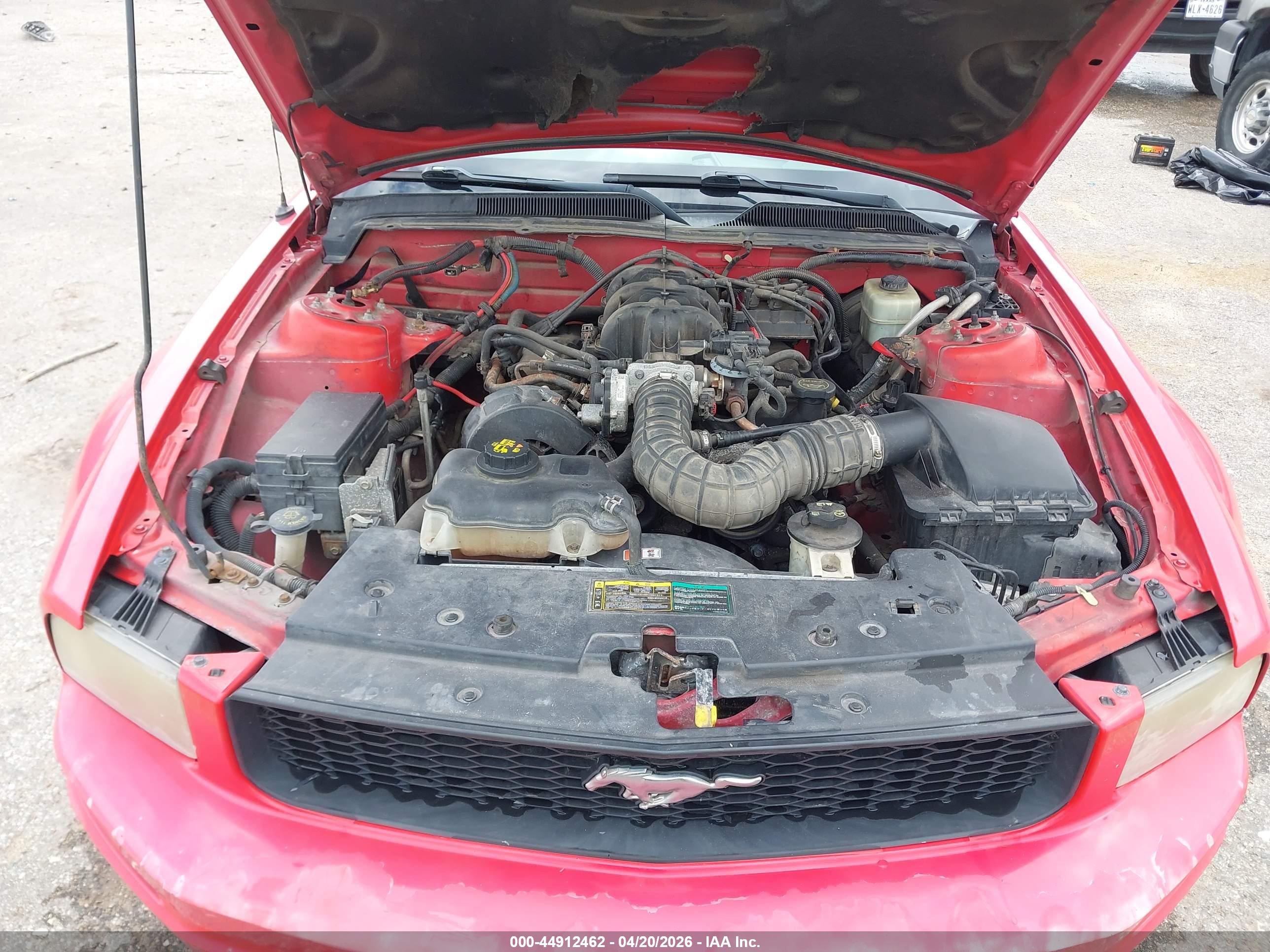 FORD MUSTANG image 10