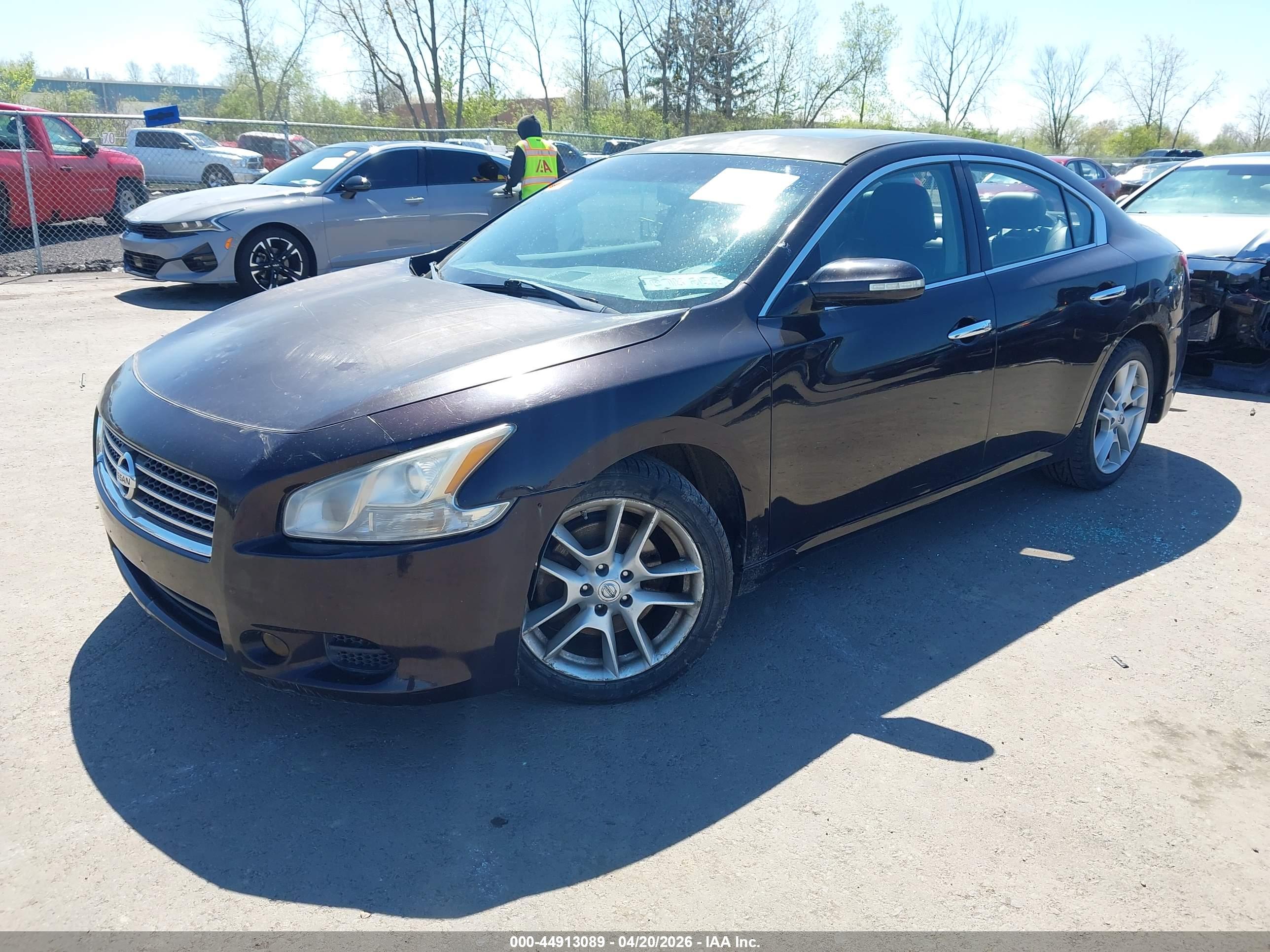 NISSAN MAXIMA image 2
