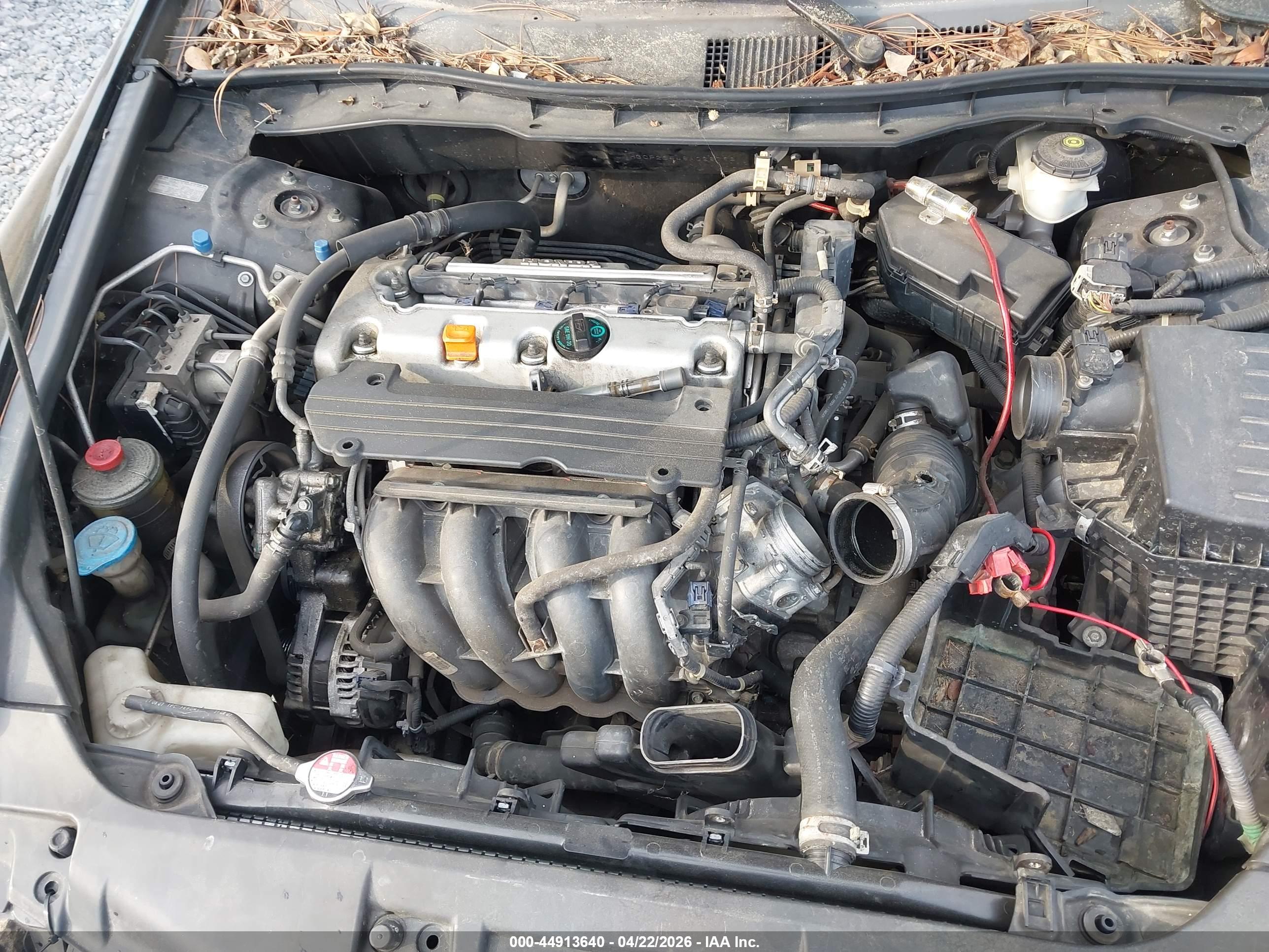 HONDA ACCORD image 10