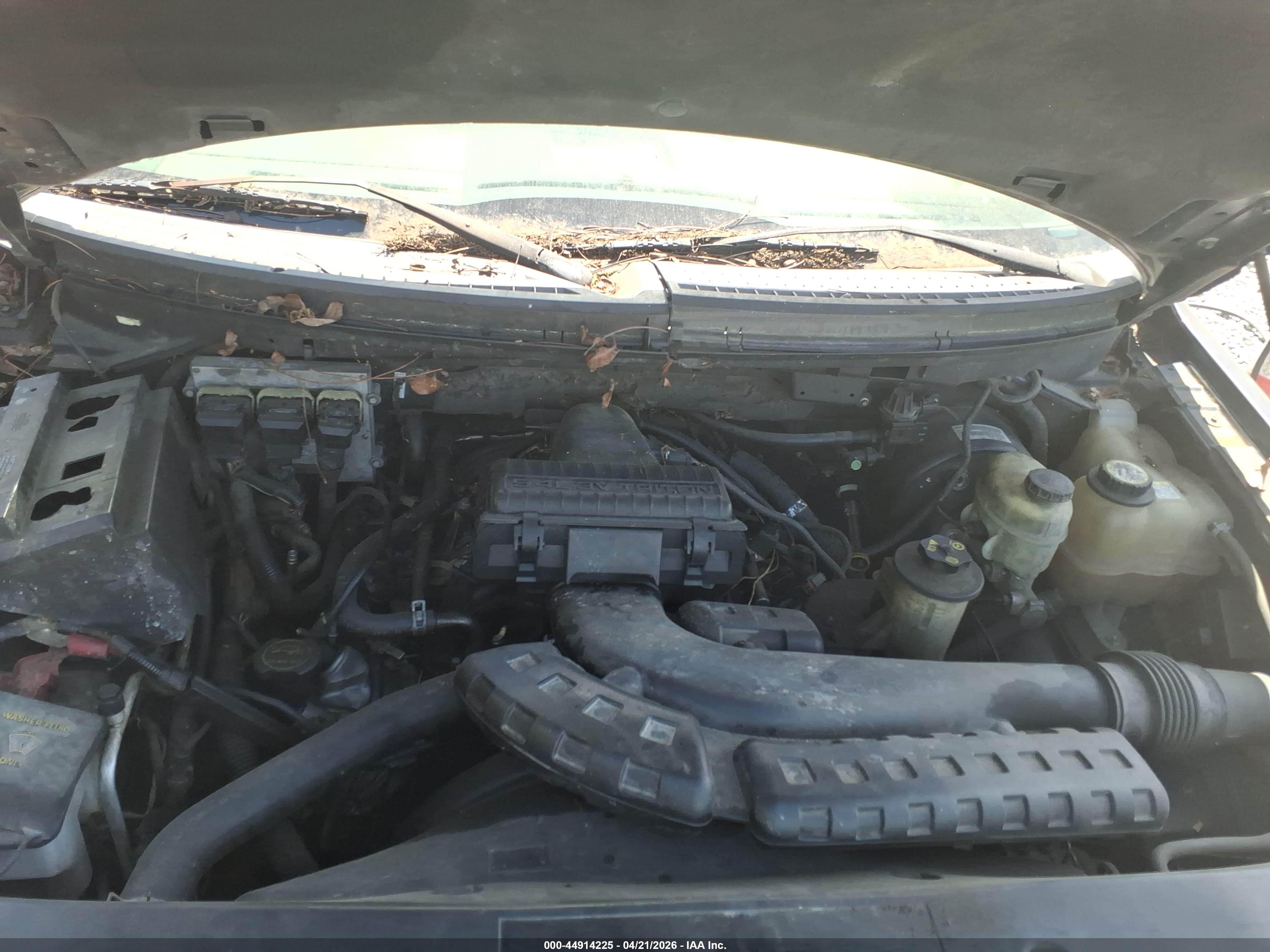 FORD F-150 image 10