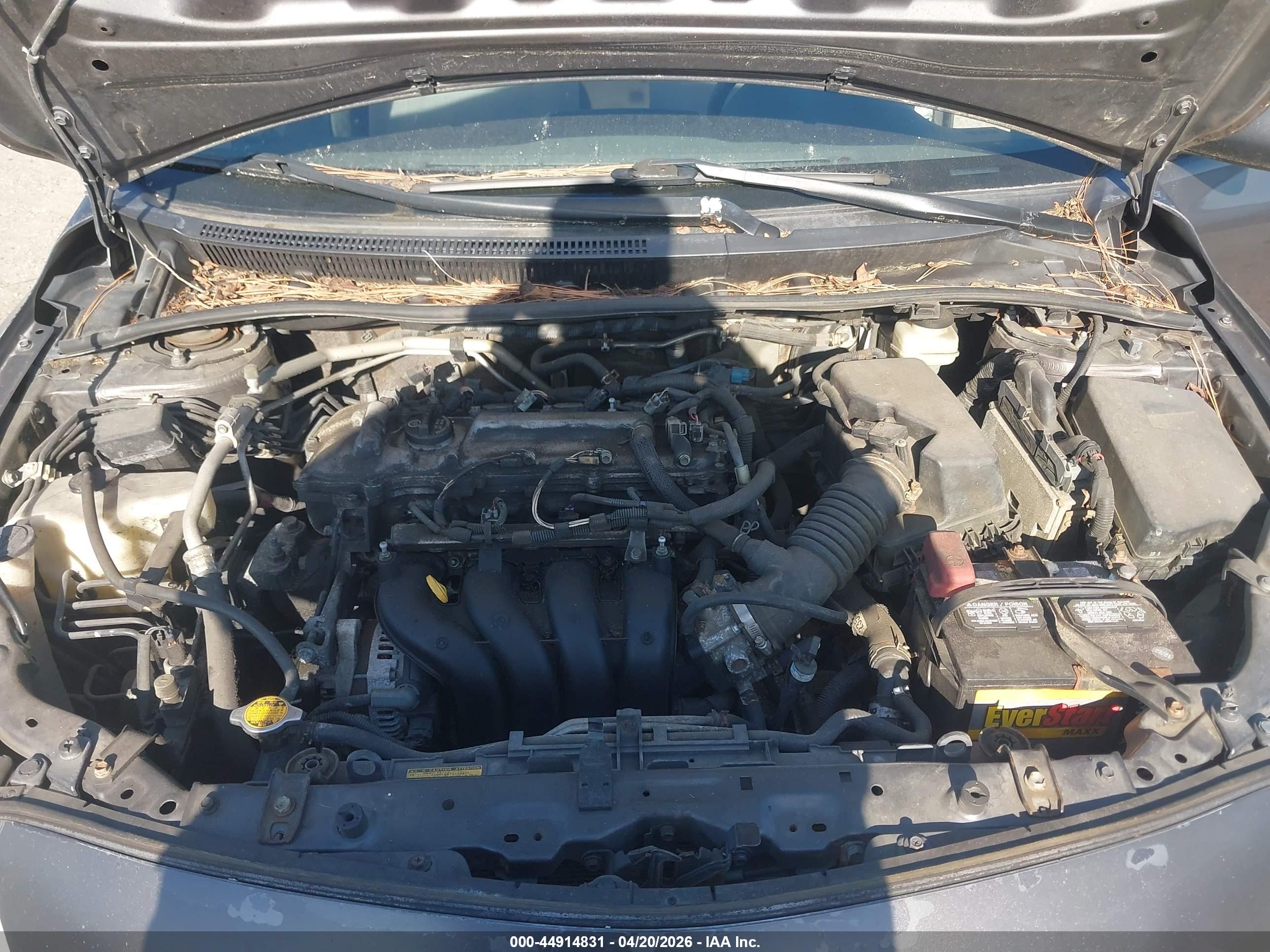 TOYOTA COROLLA image 10