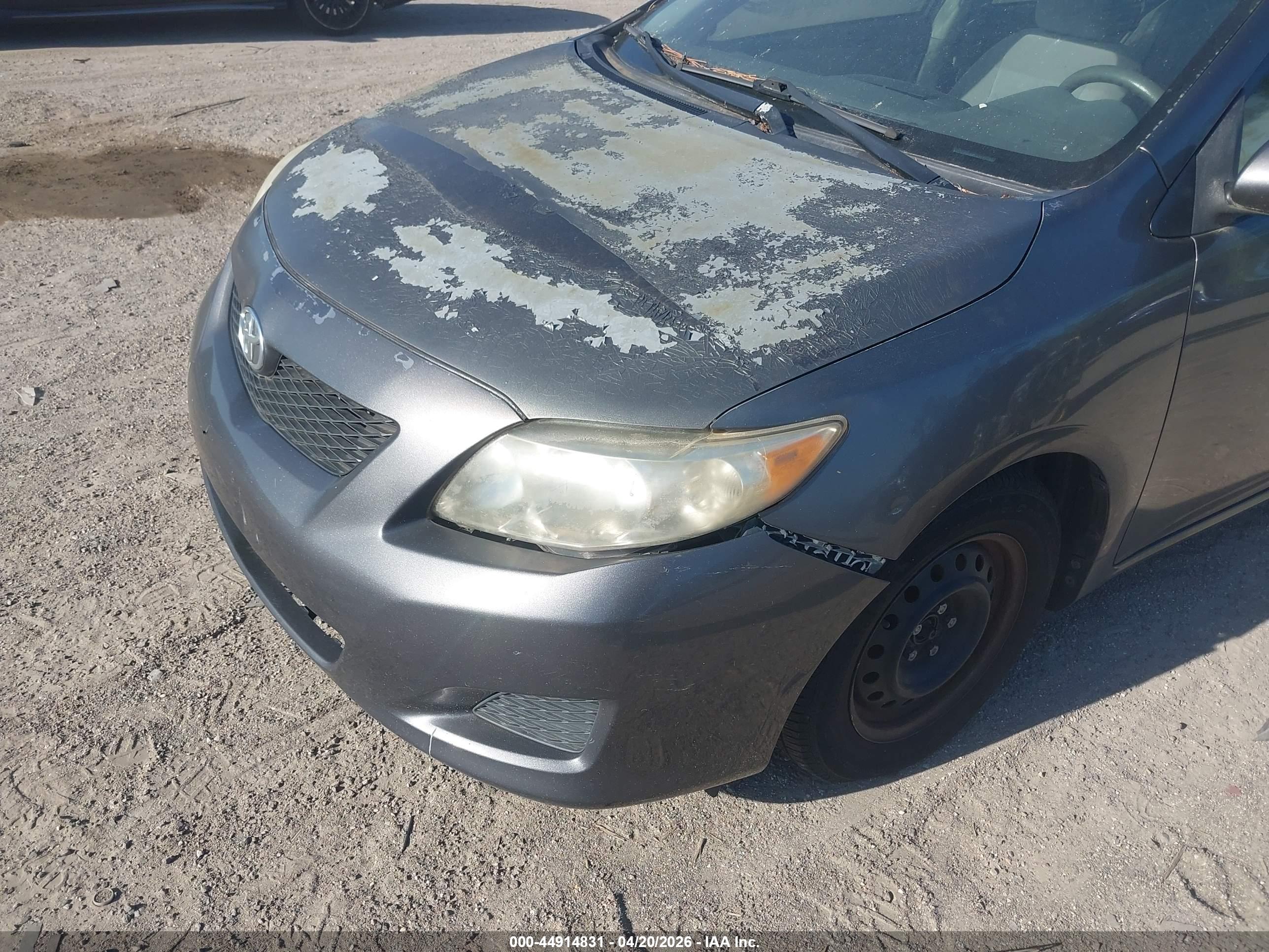 TOYOTA COROLLA image 6