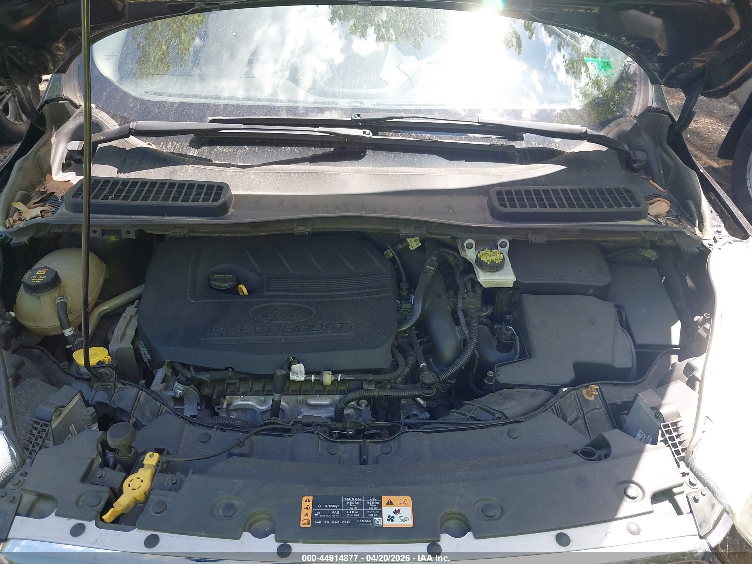 FORD ESCAPE image 10