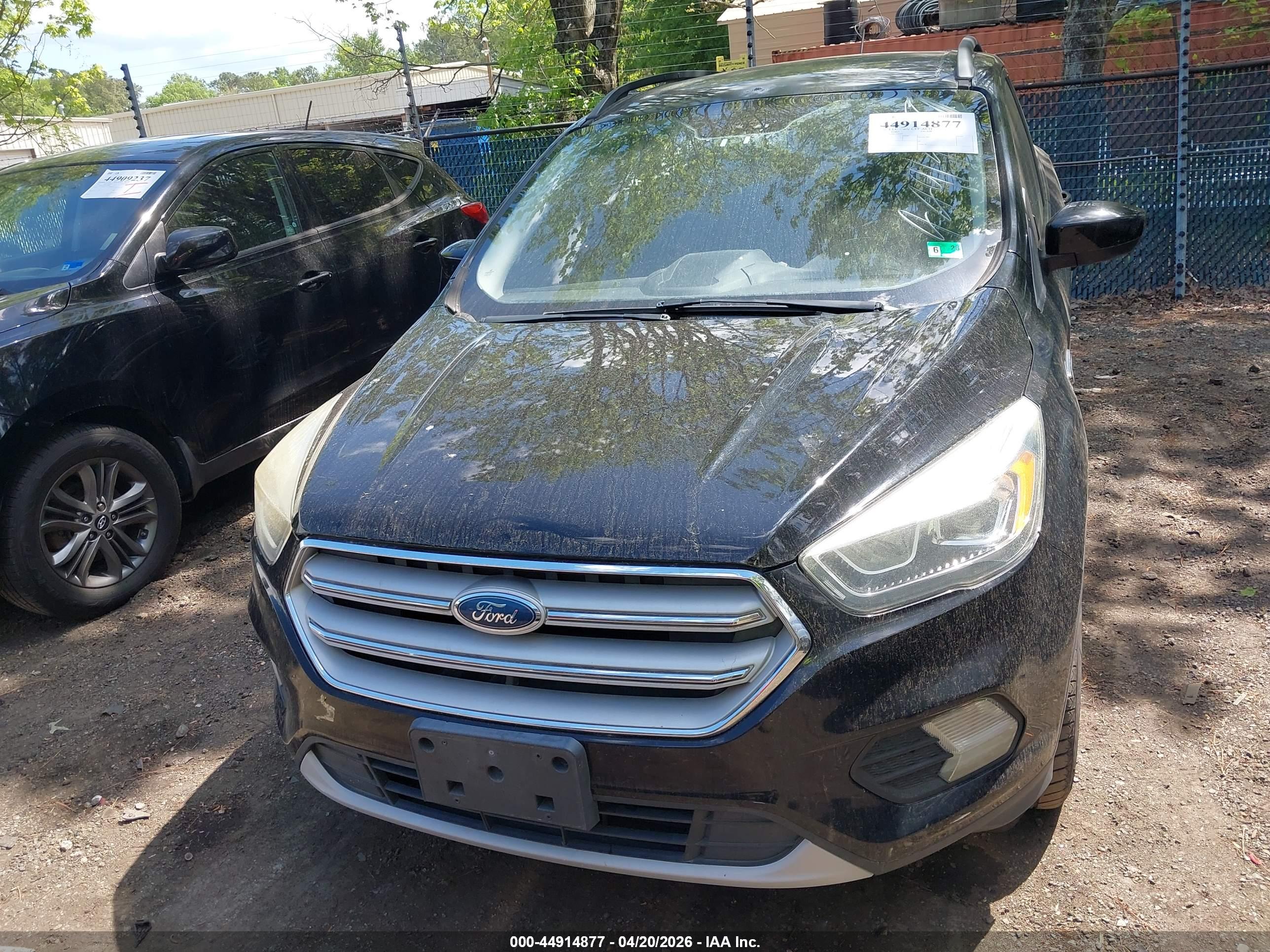 FORD ESCAPE image 6