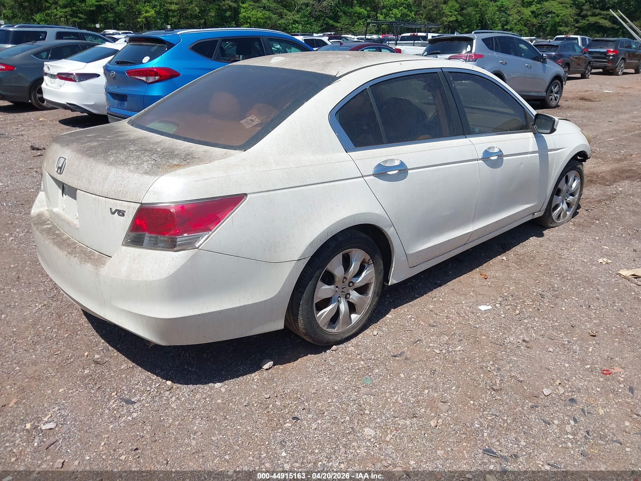 HONDA ACCORD image 4