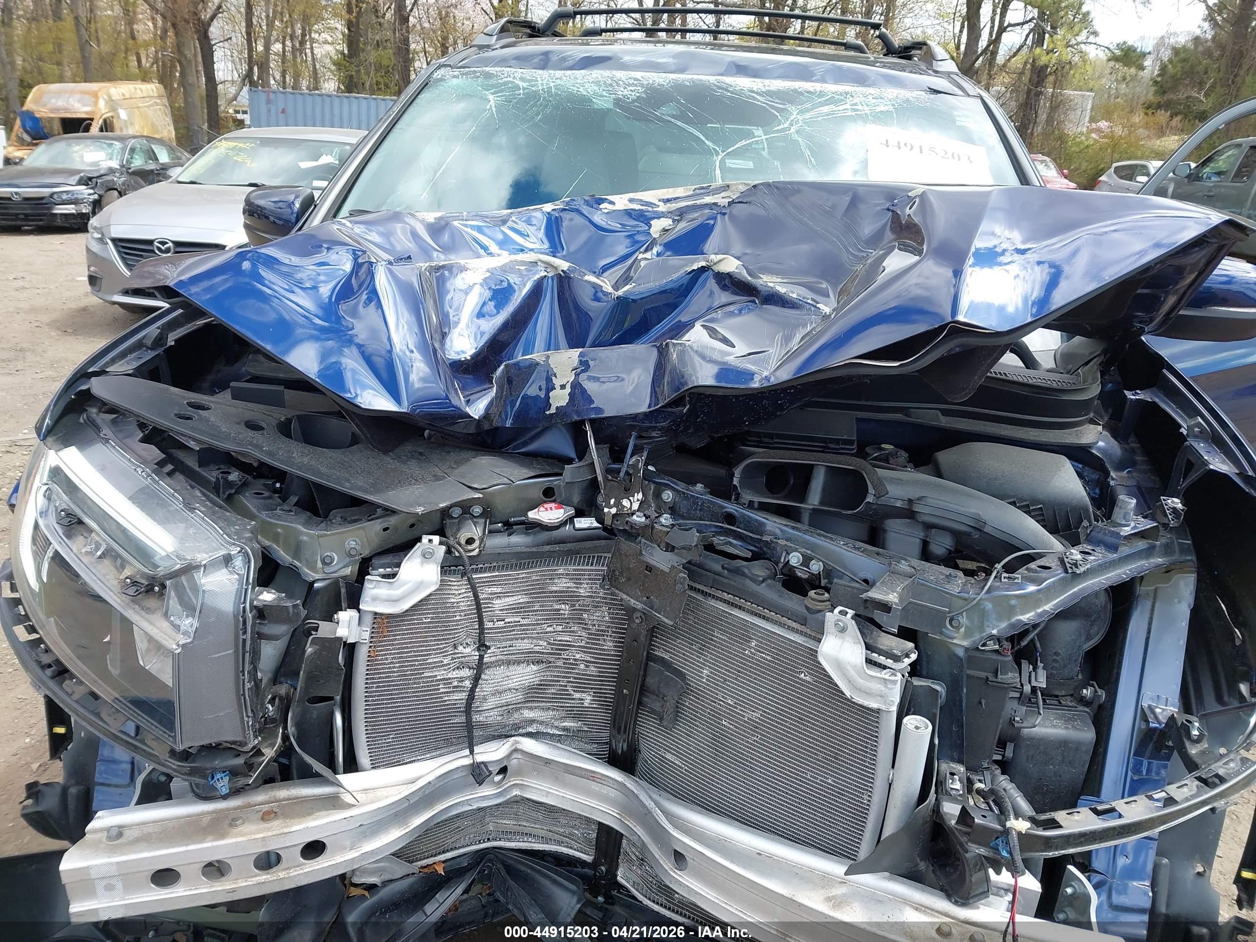 HONDA PASSPORT image 10