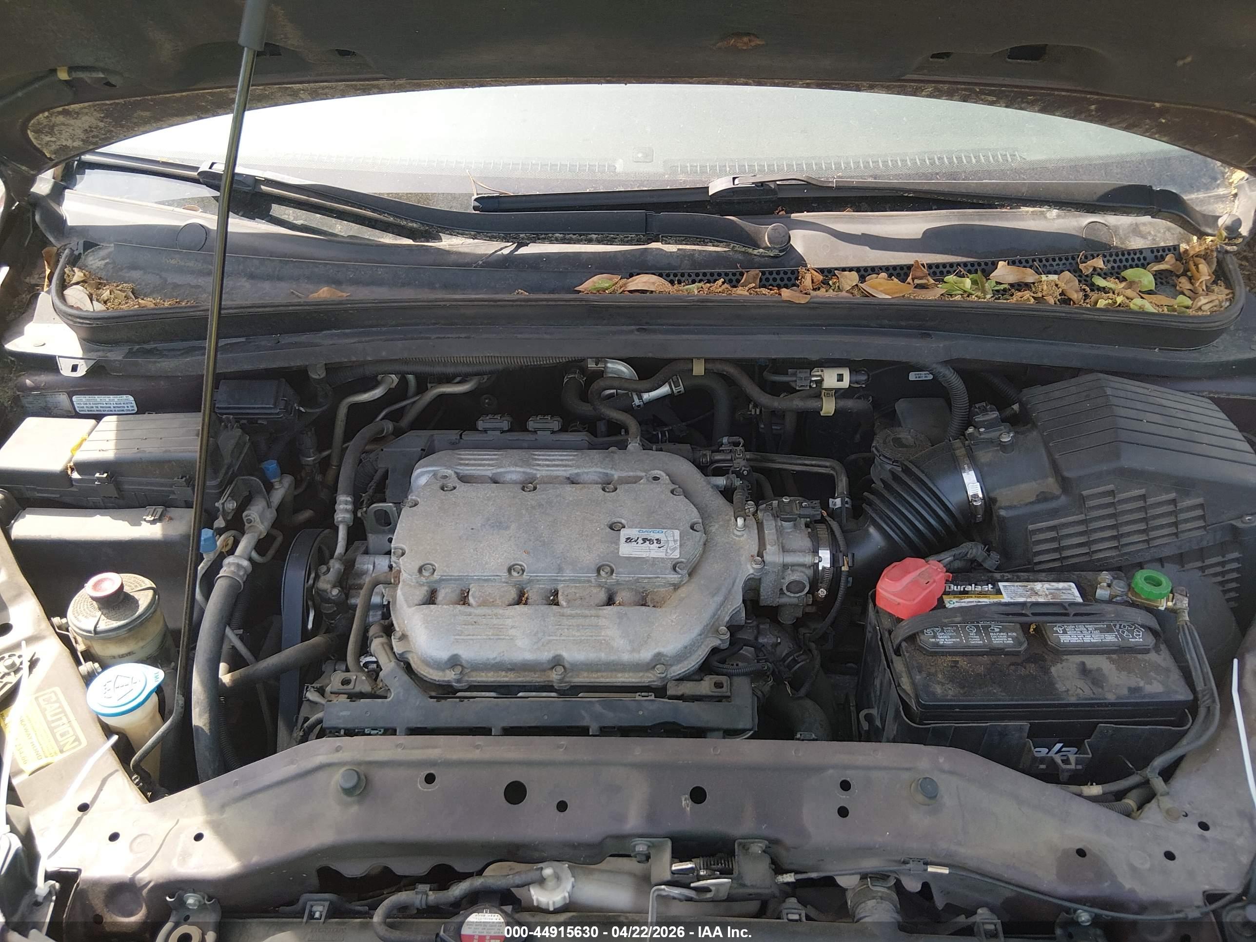 HONDA ODYSSEY image 10