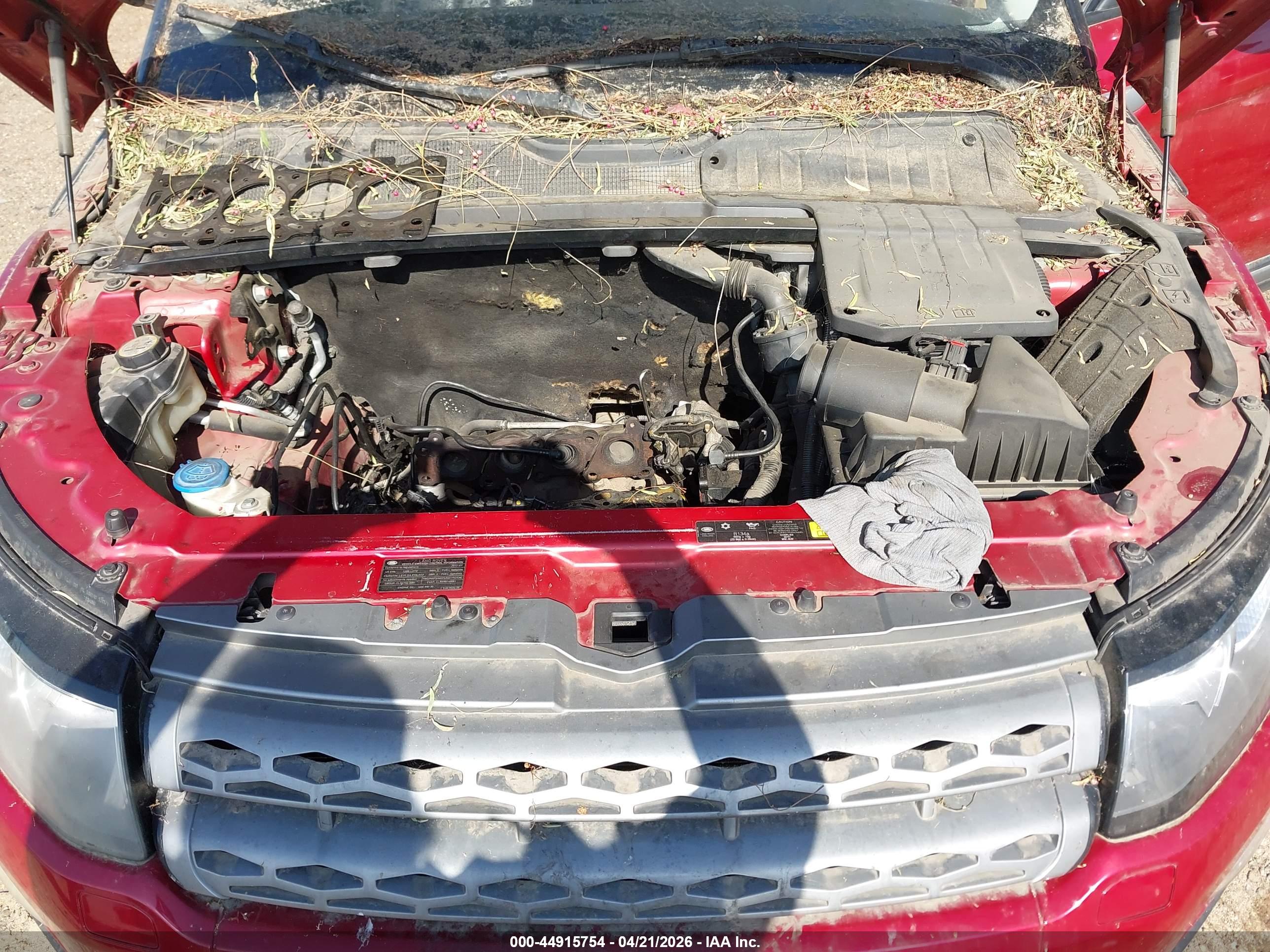 LAND ROVER image 10