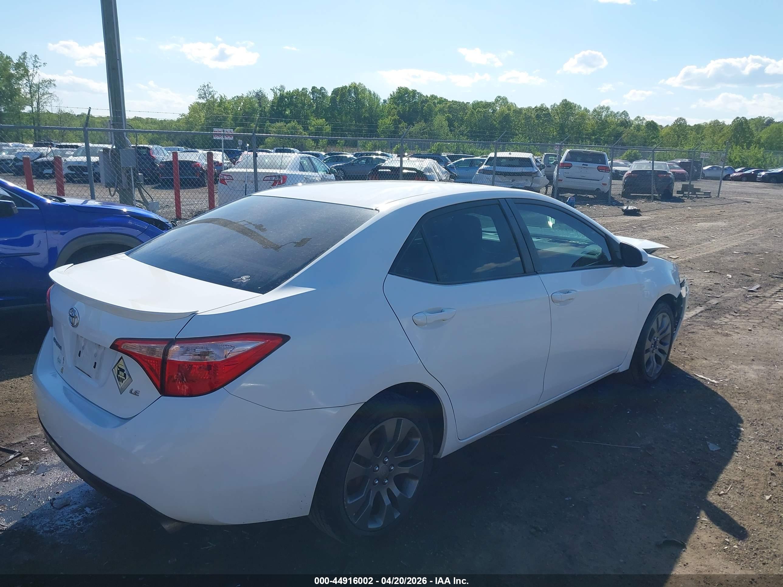 TOYOTA COROLLA image 4