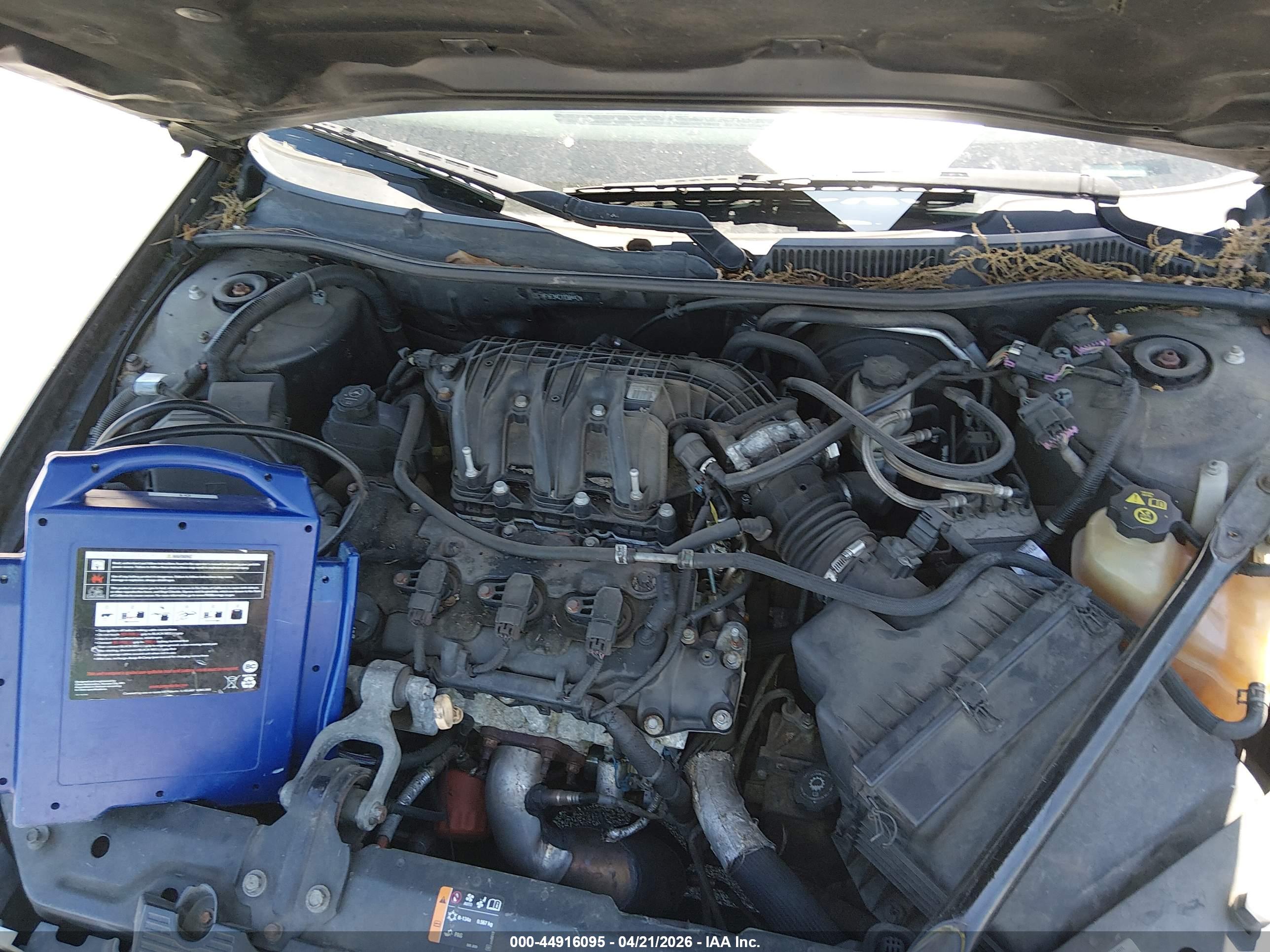 CHEVROLET IMPALA image 10