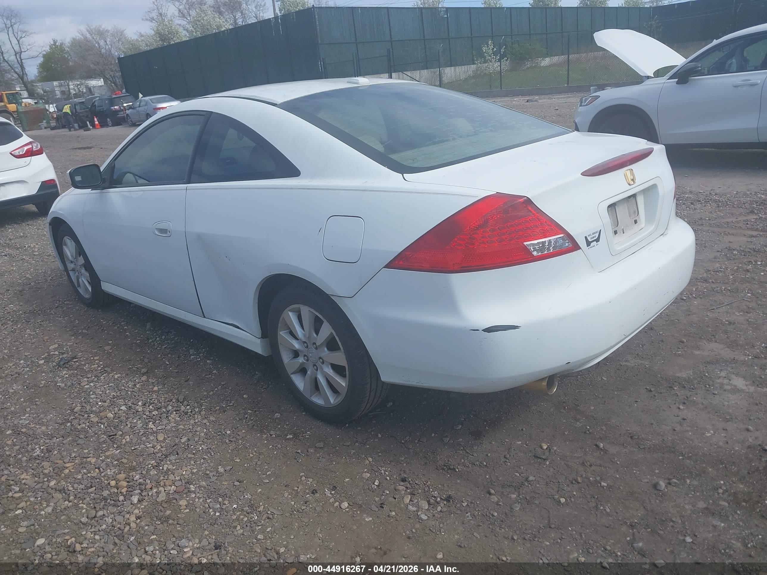HONDA ACCORD image 3