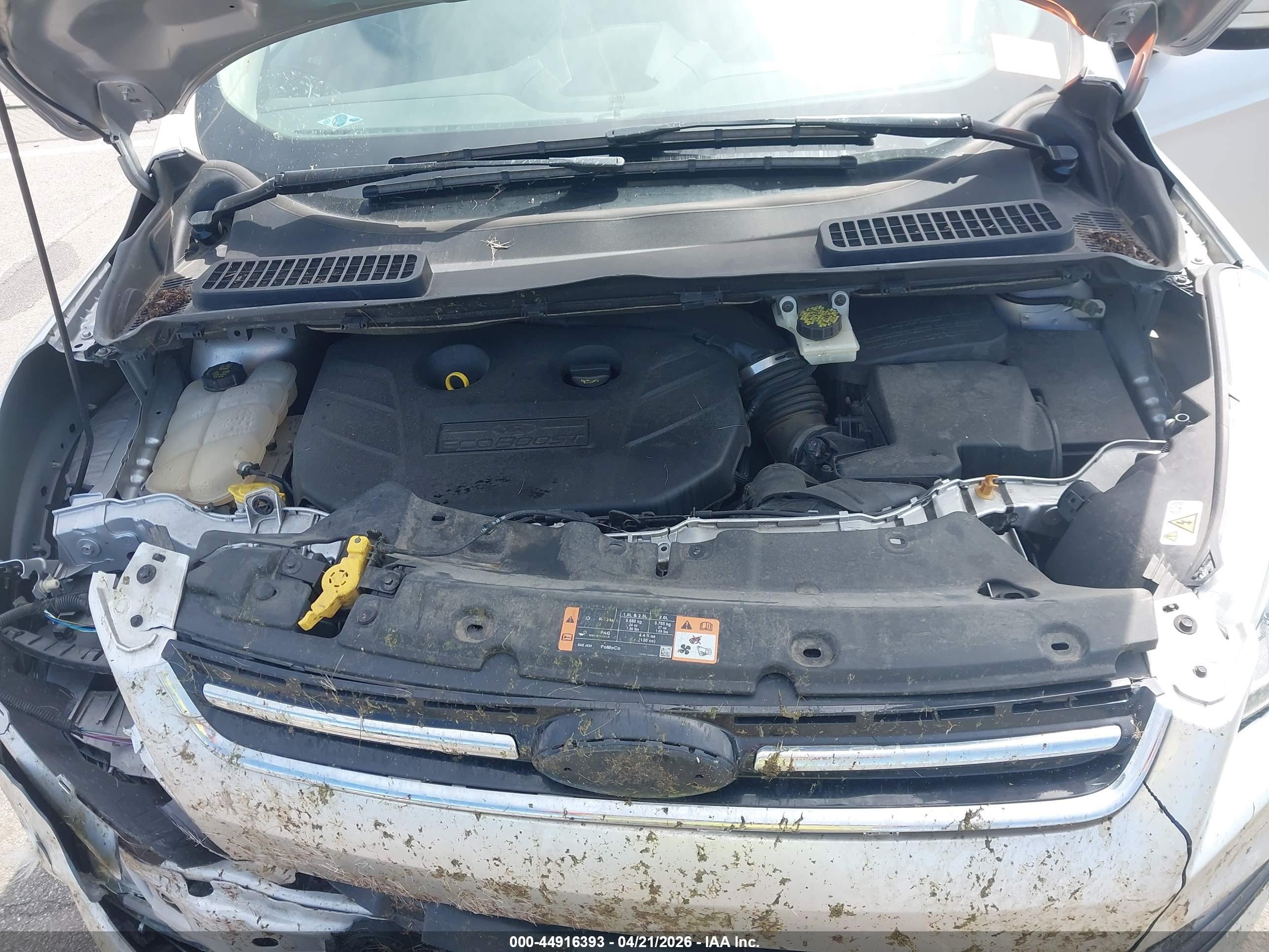 FORD ESCAPE image 10