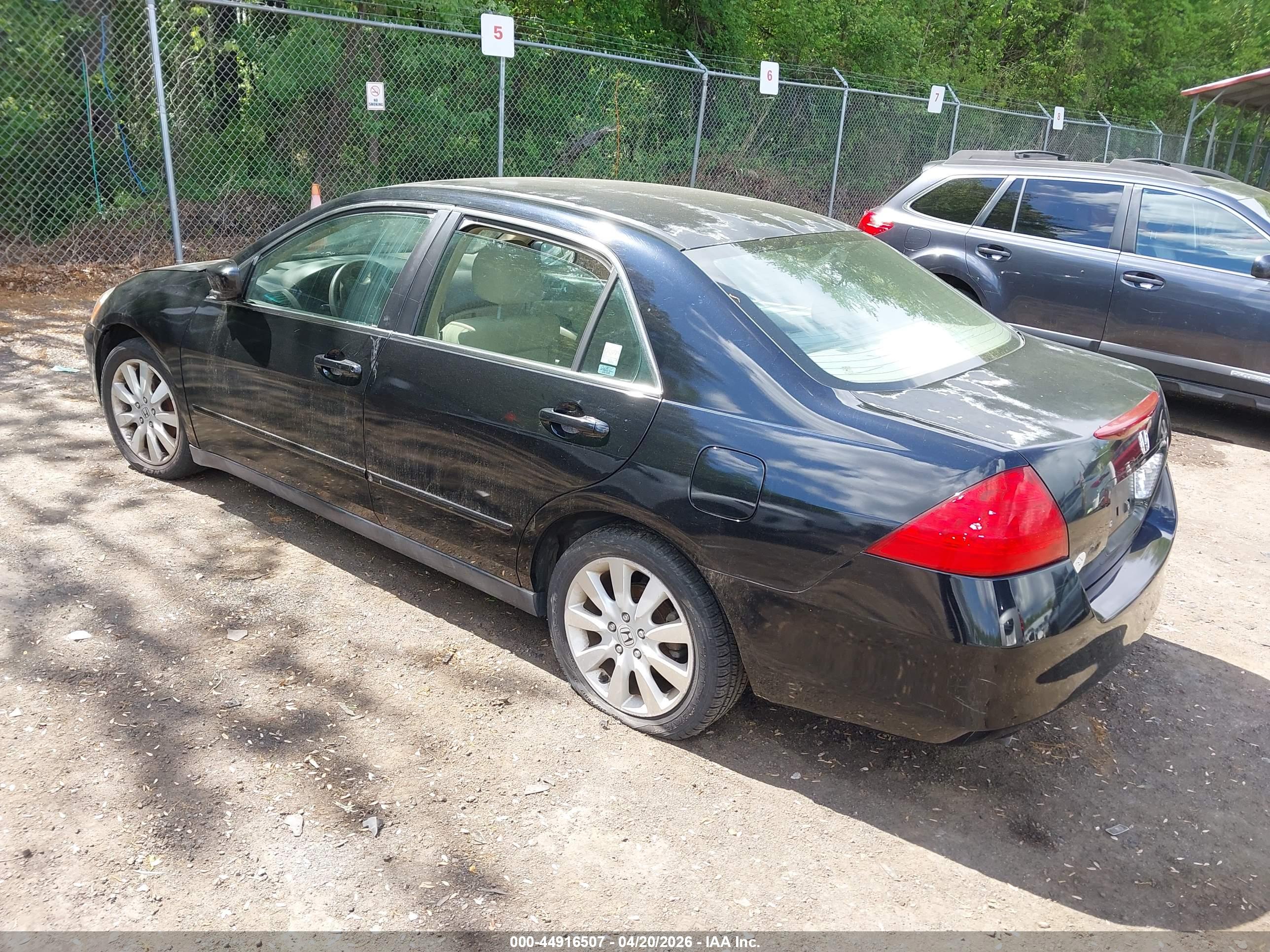 HONDA ACCORD image 3