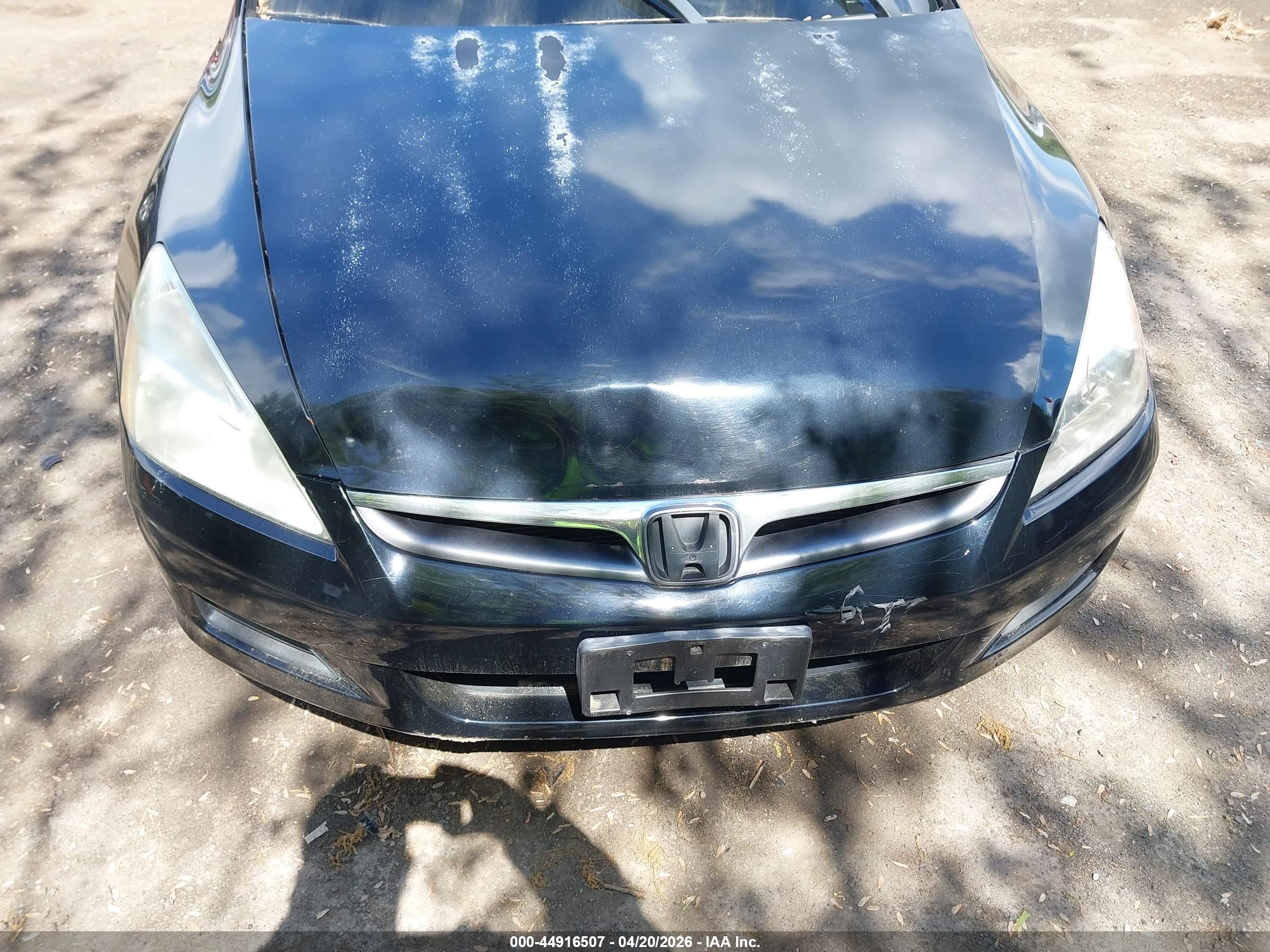 HONDA ACCORD image 6