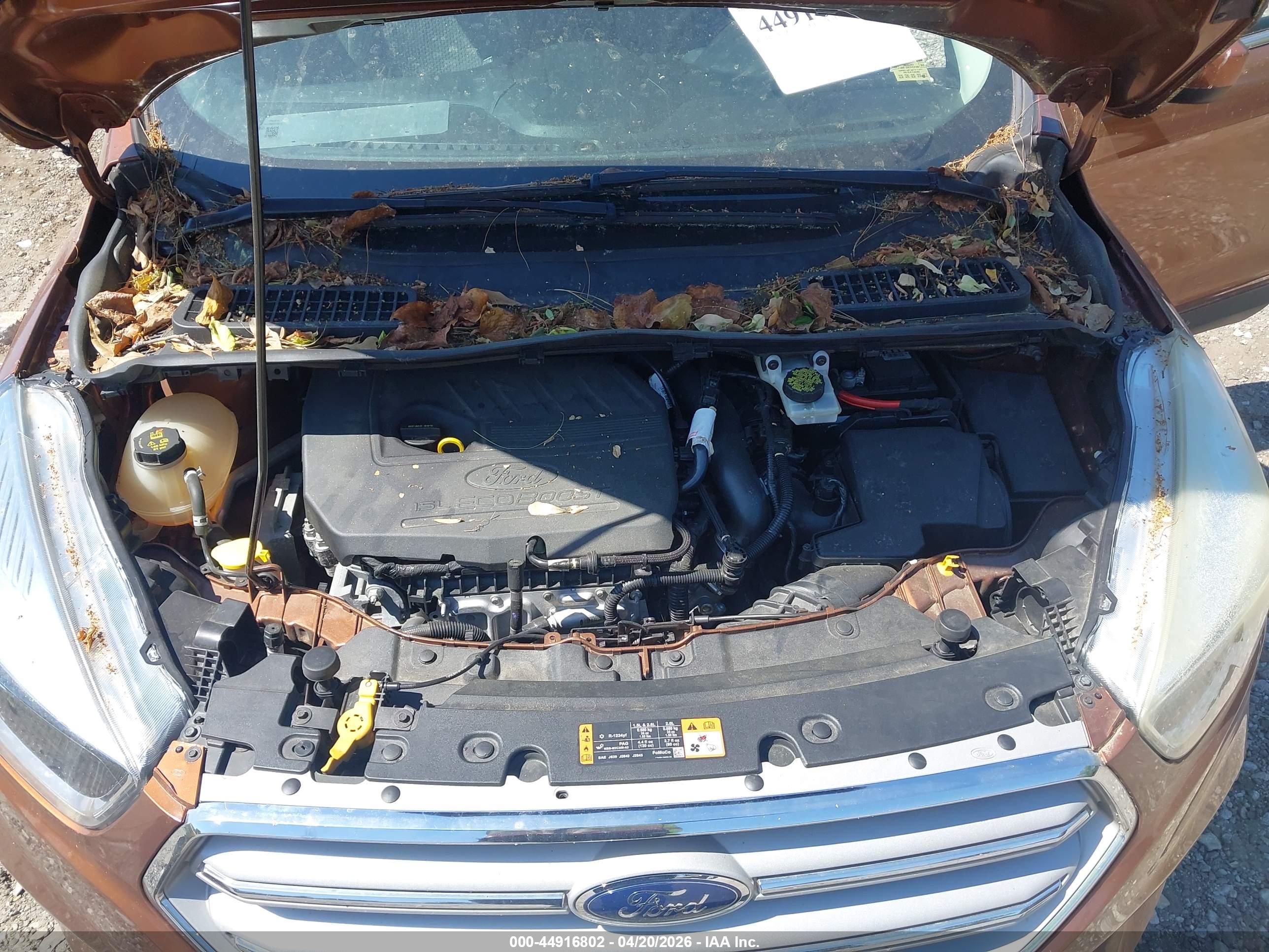 FORD ESCAPE image 10