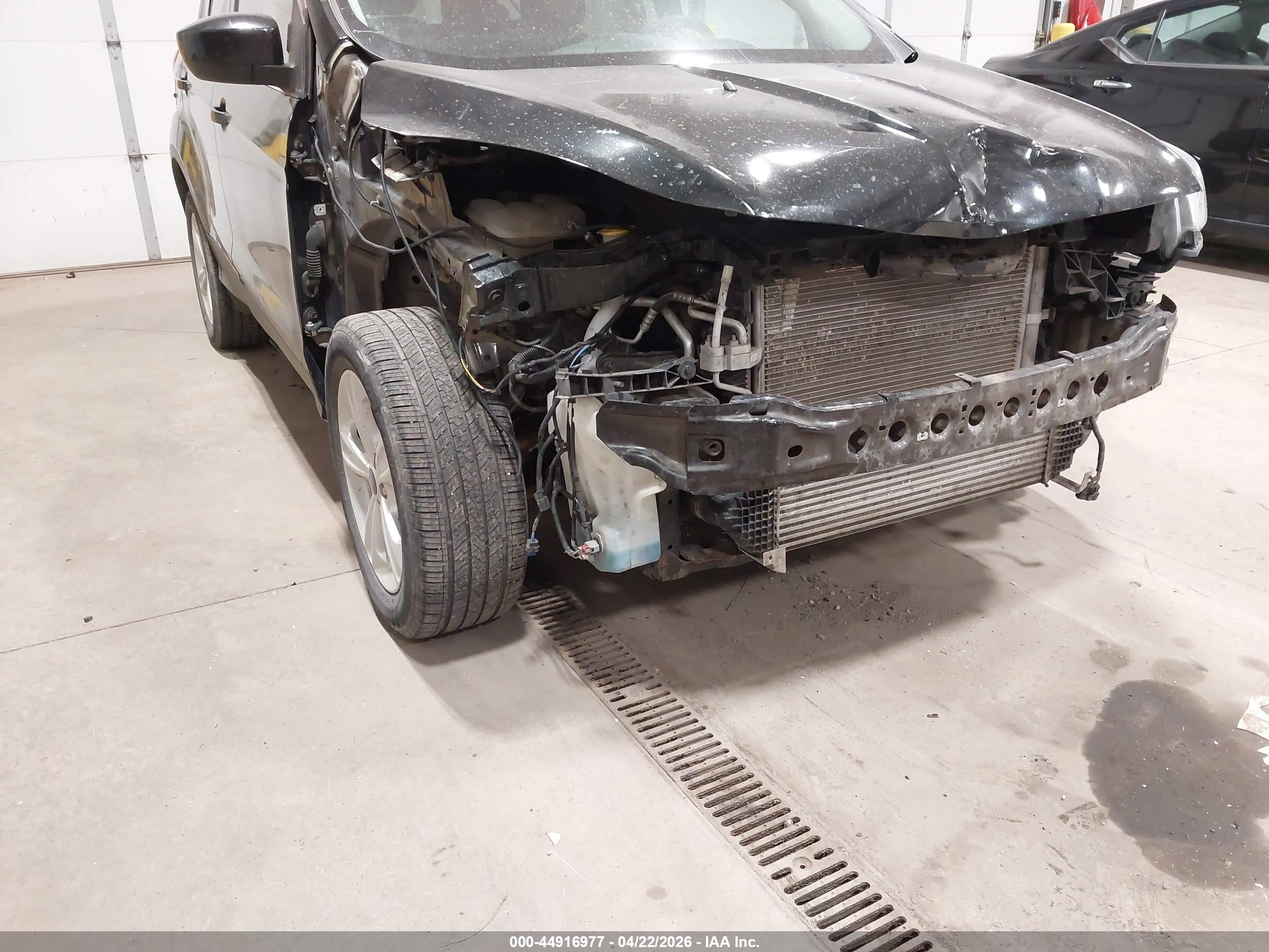 FORD ESCAPE image 6