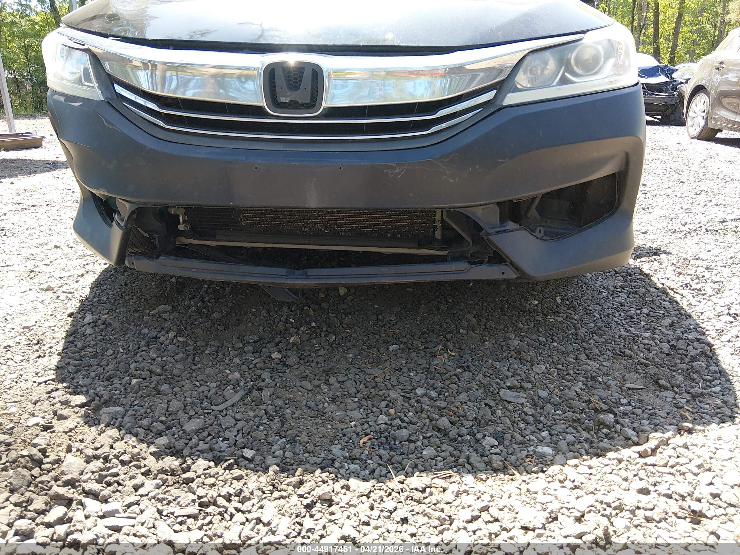 HONDA ACCORD image 6