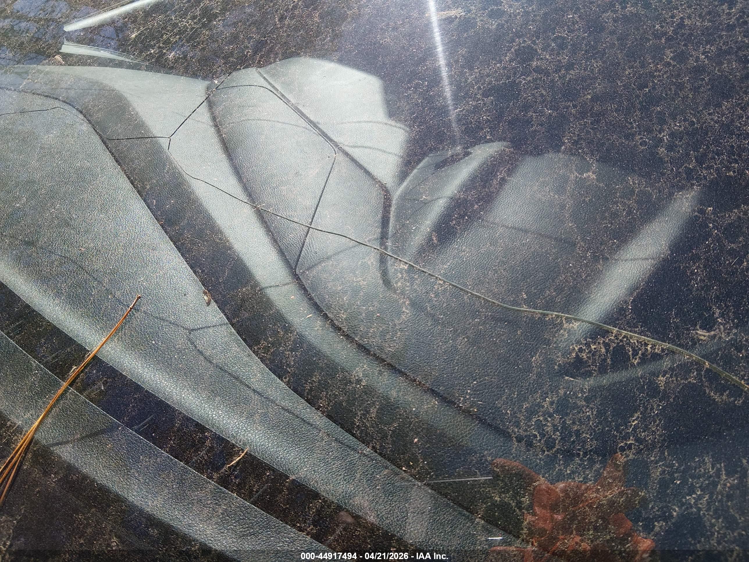 FORD FOCUS image 6