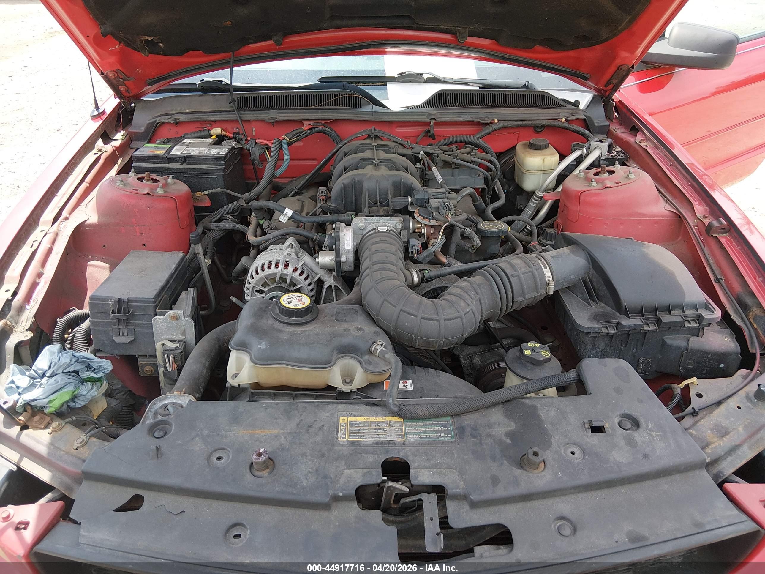 FORD MUSTANG image 10