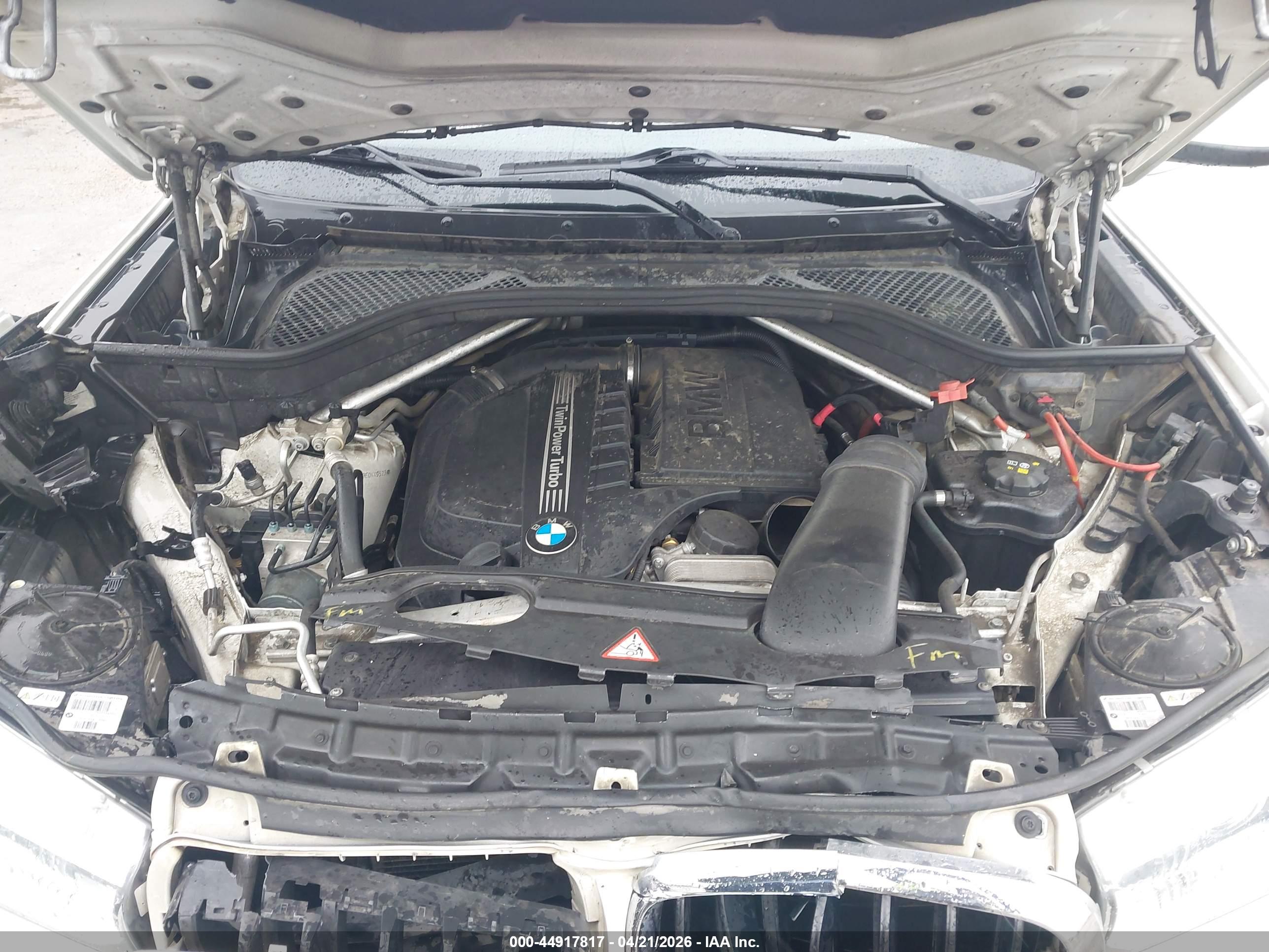 BMW X5 image 10