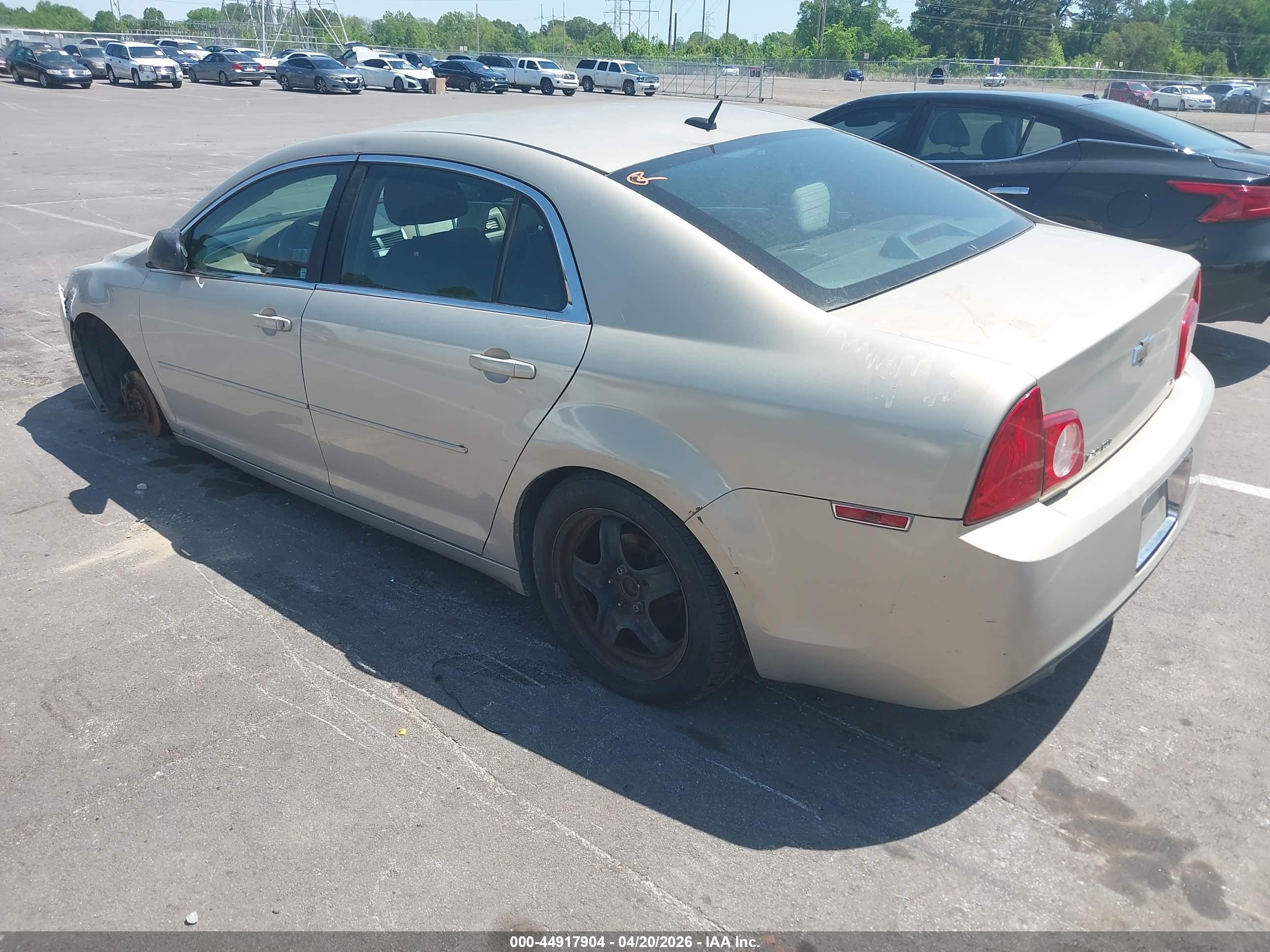 CHEVROLET MALIBU image 3
