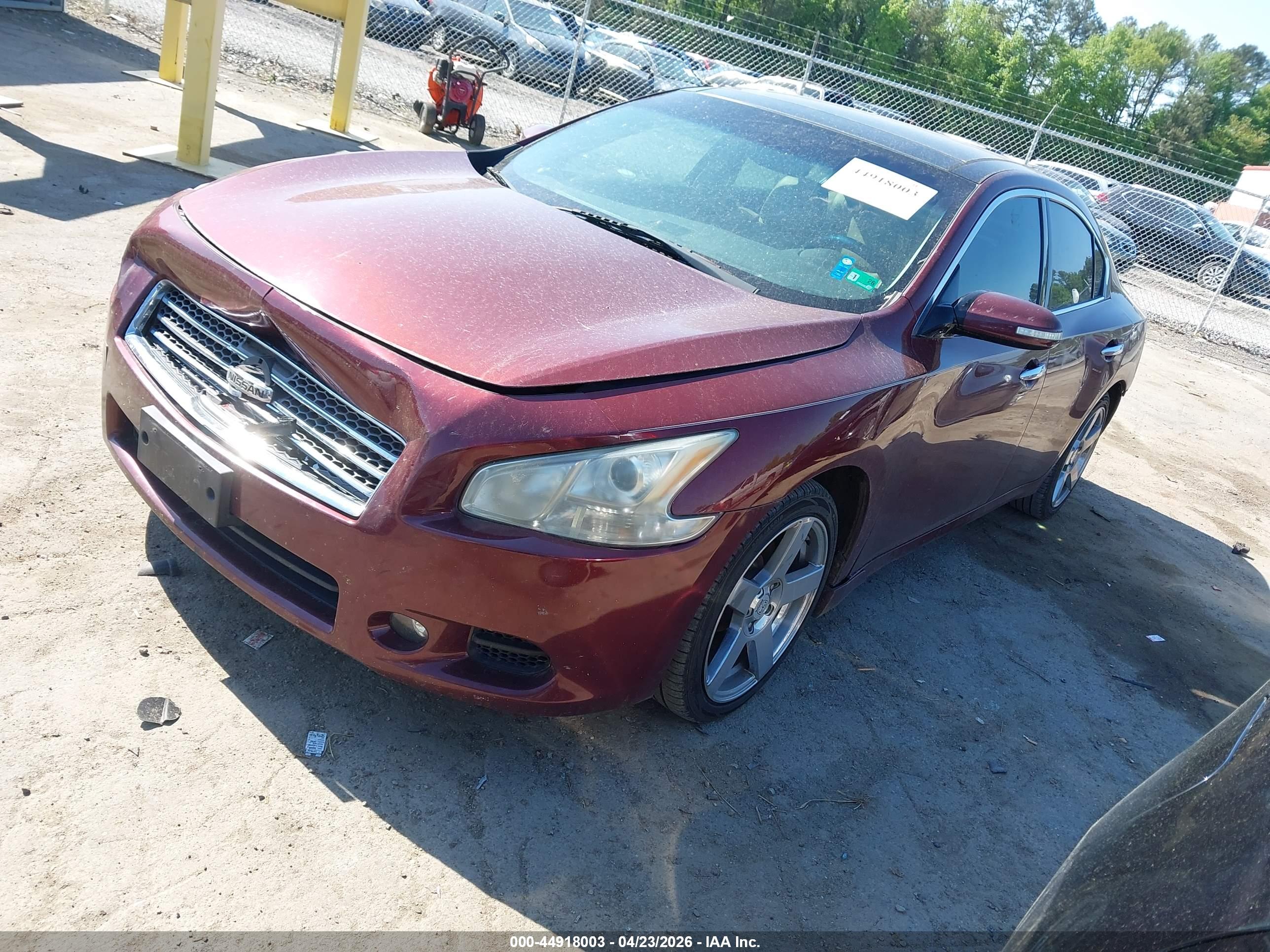 NISSAN MAXIMA image 2