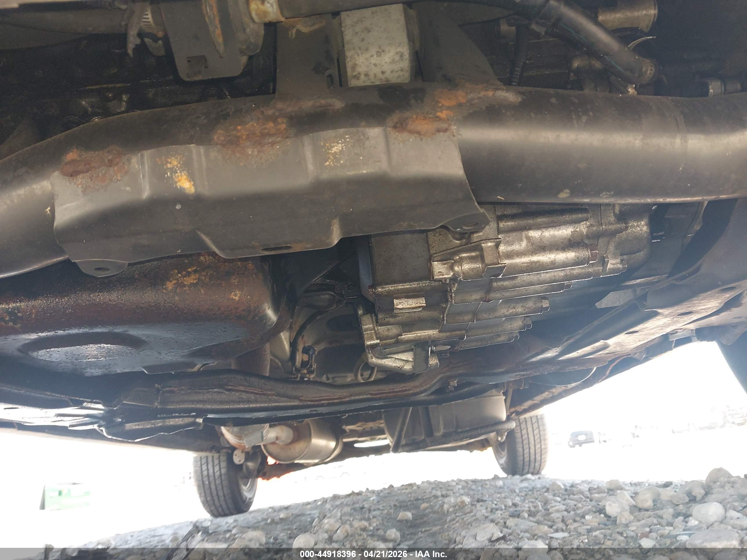 HONDA ELEMENT image 6