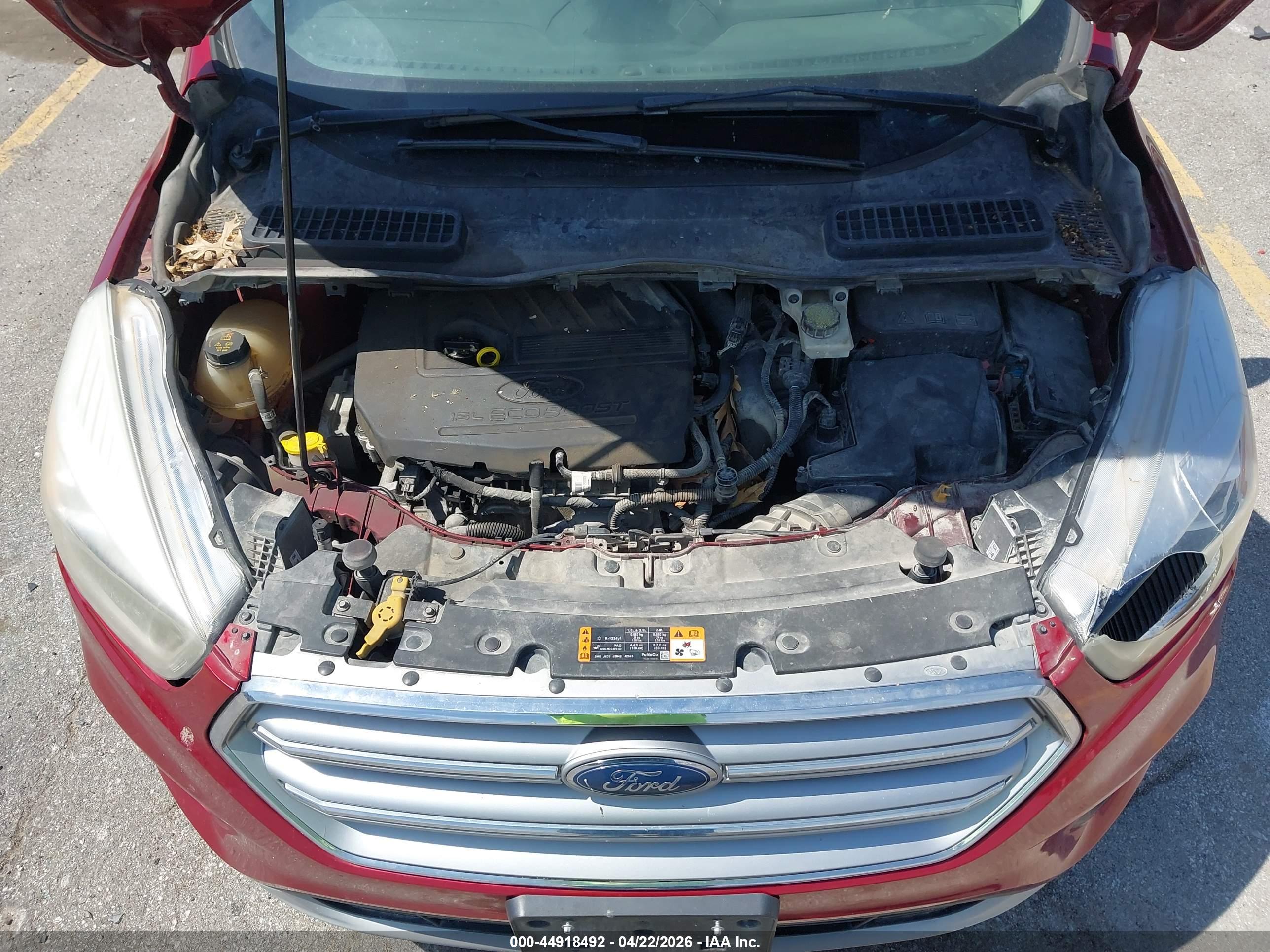 FORD ESCAPE image 10
