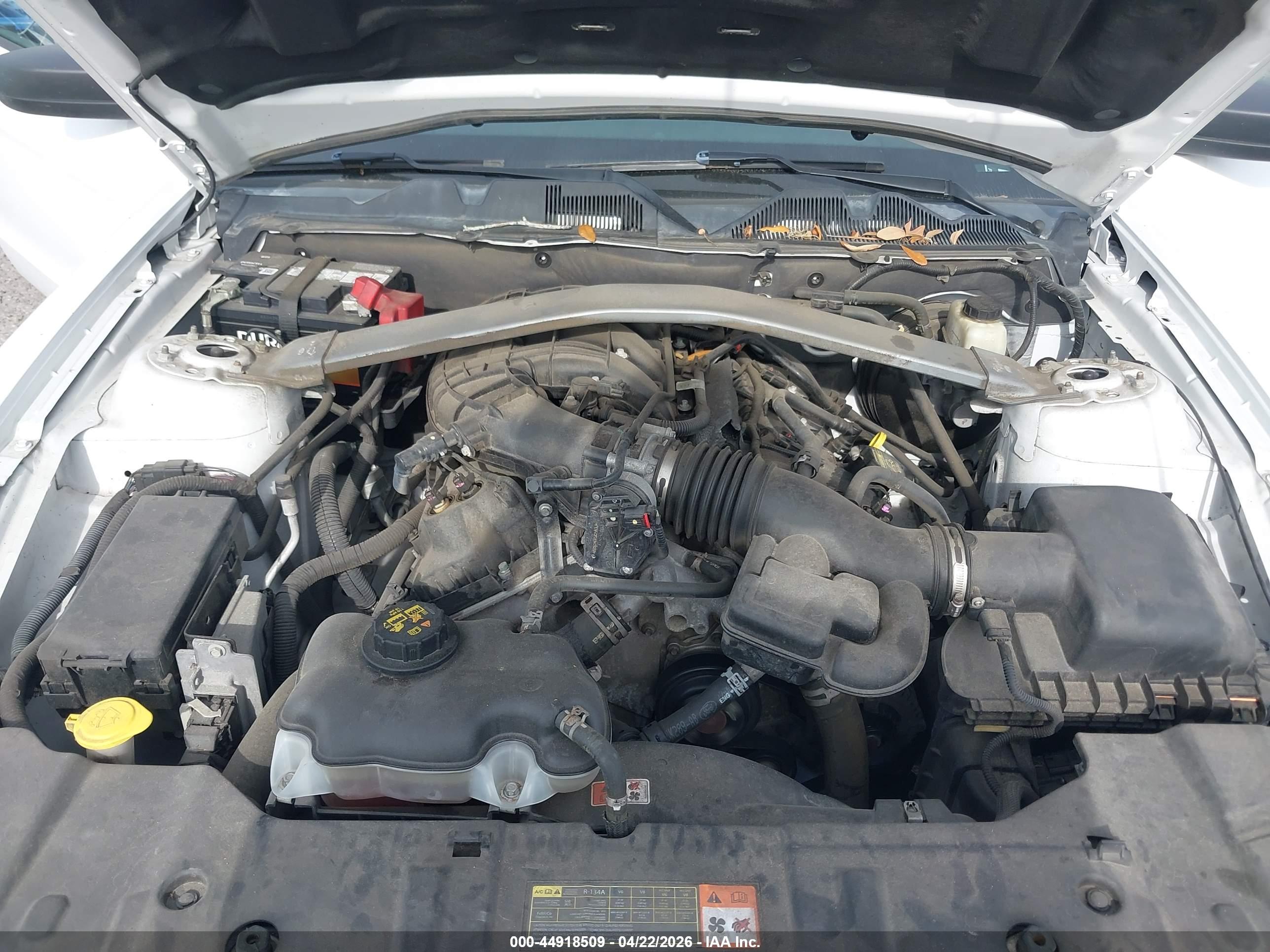 FORD MUSTANG image 10