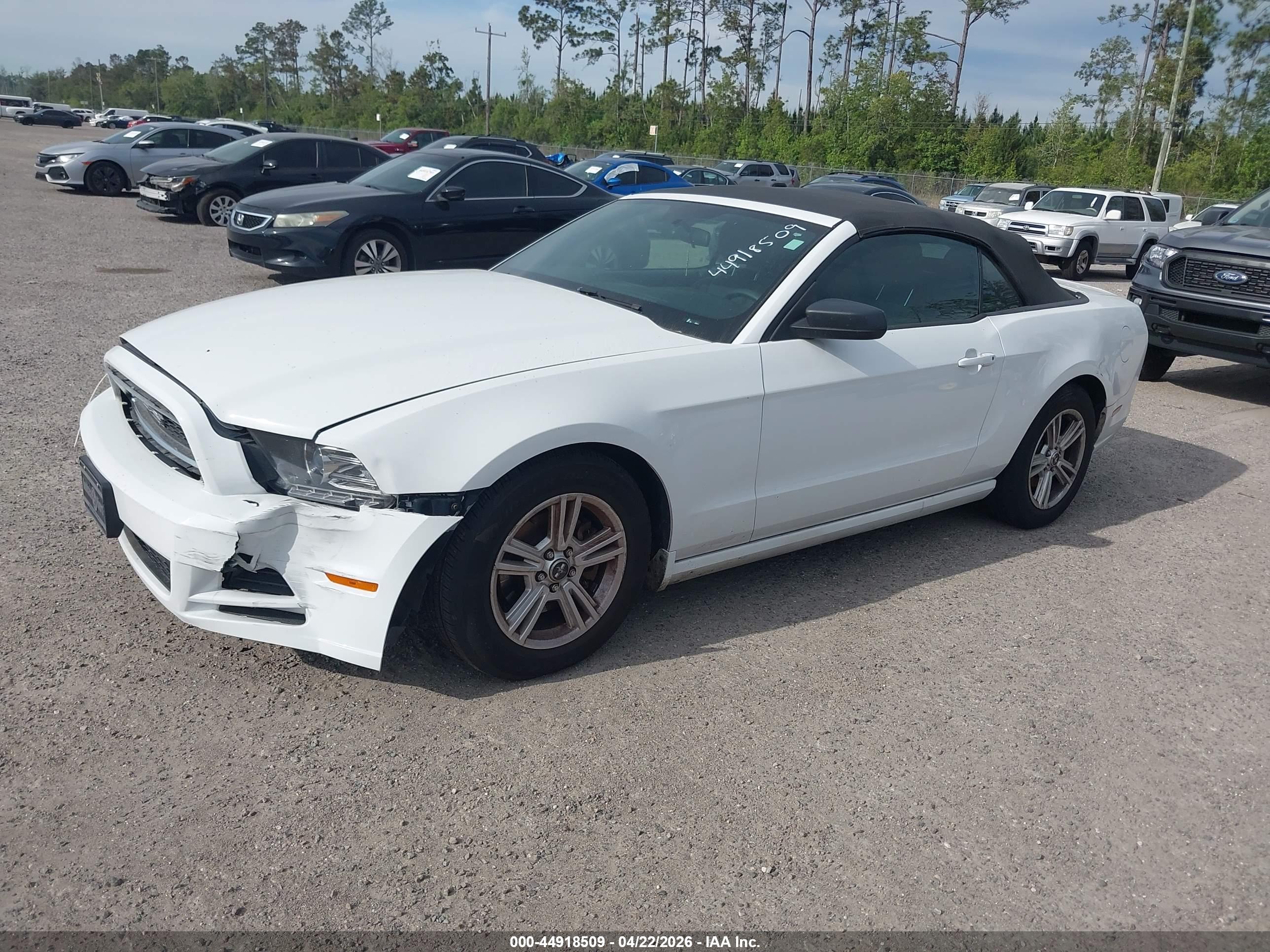 FORD MUSTANG image 2