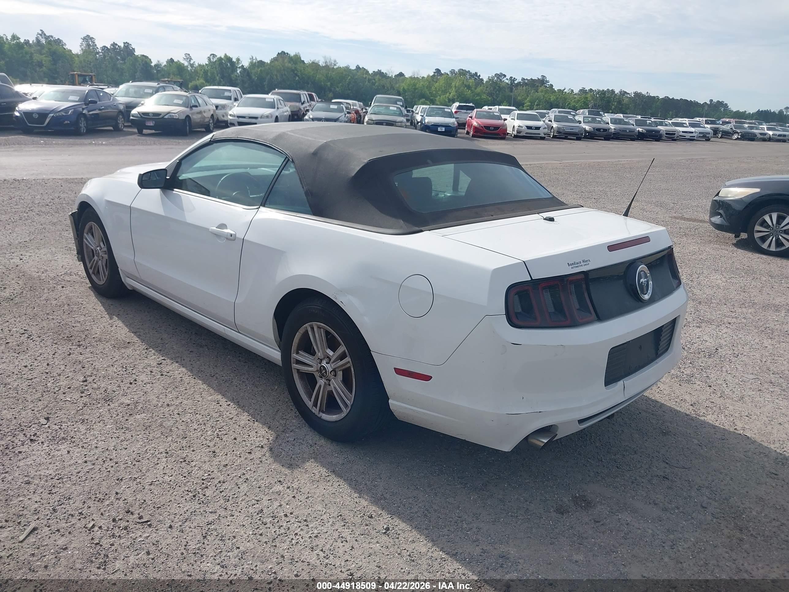 FORD MUSTANG image 3