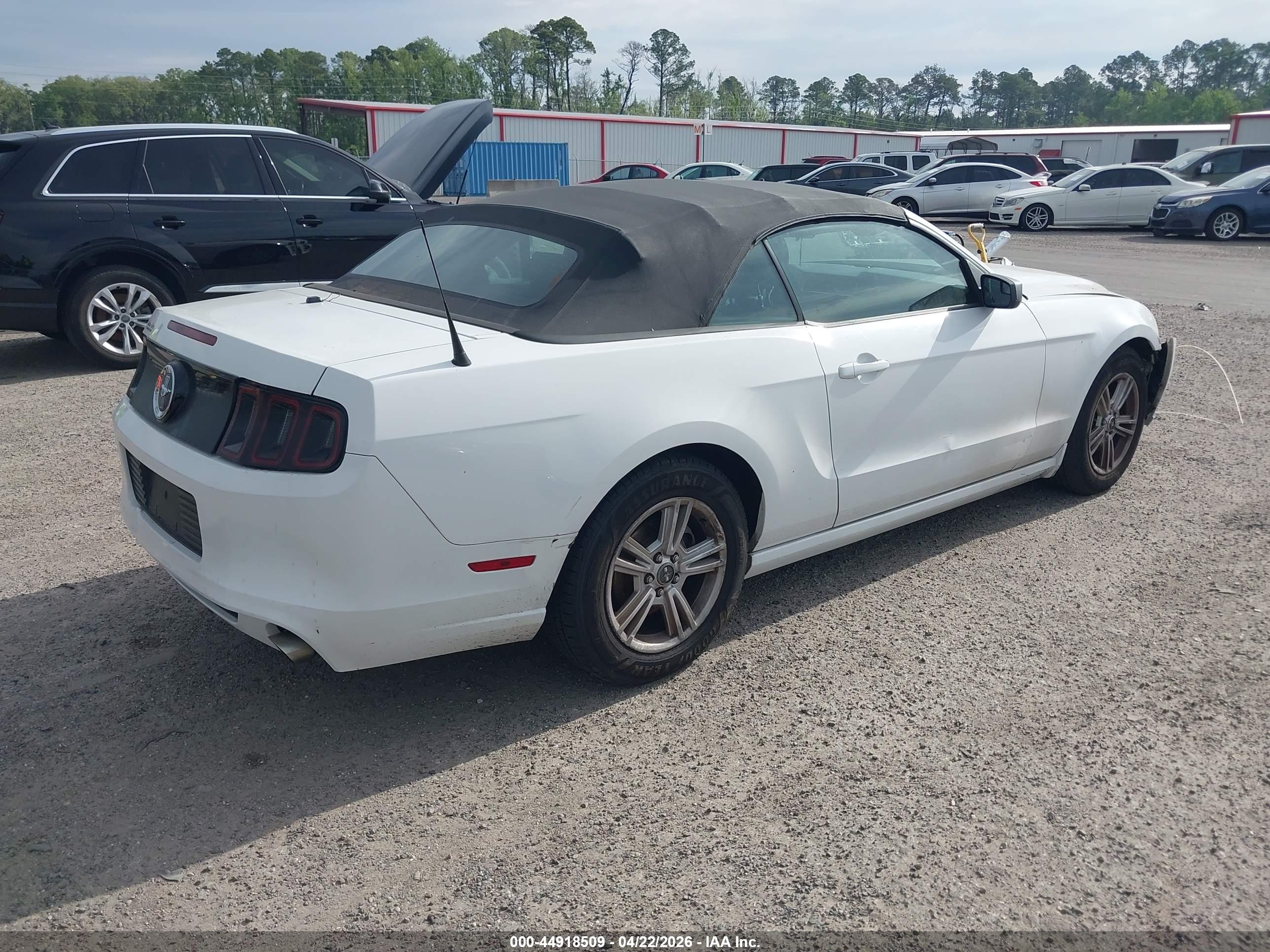 FORD MUSTANG image 4