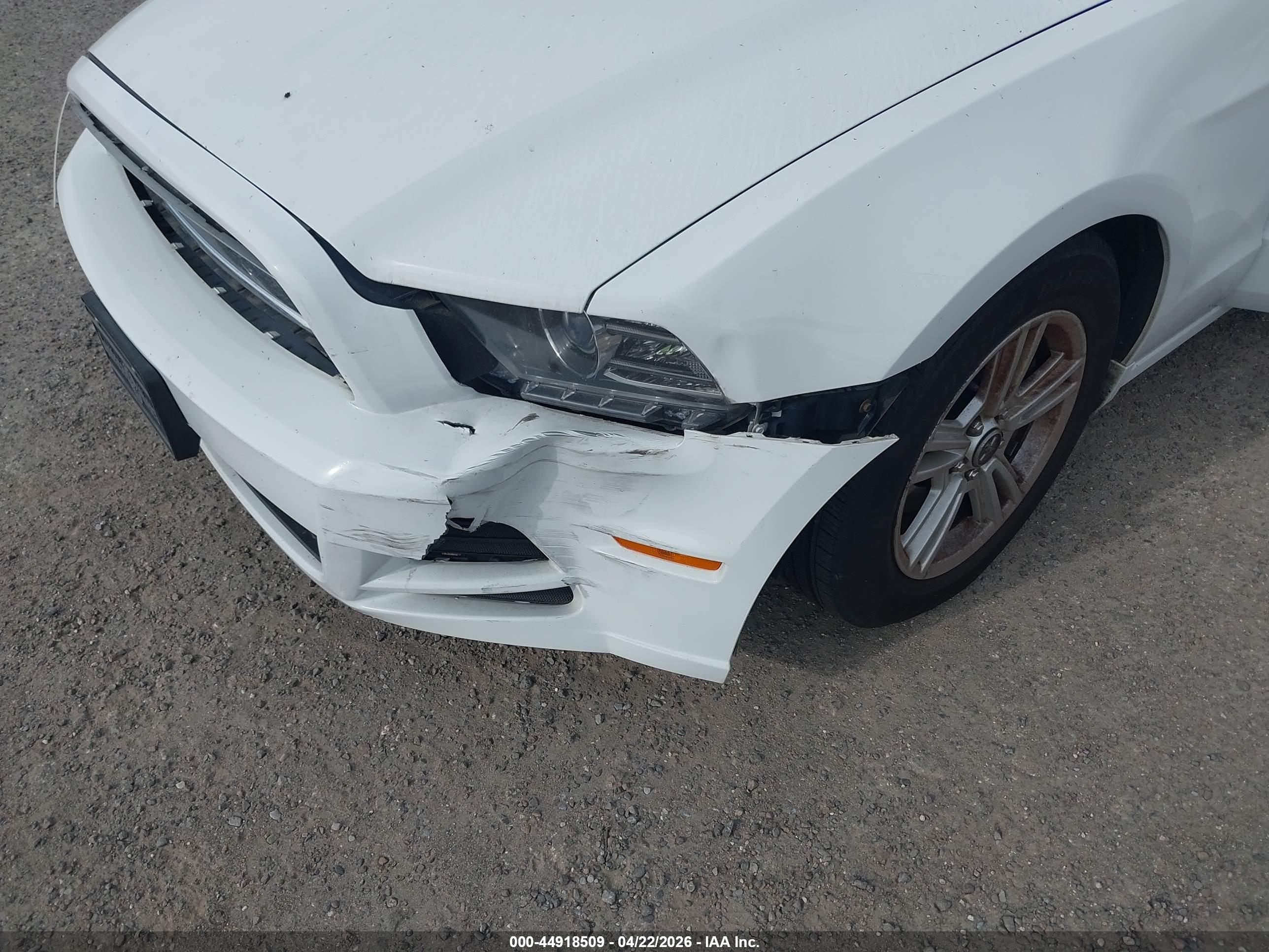 FORD MUSTANG image 6