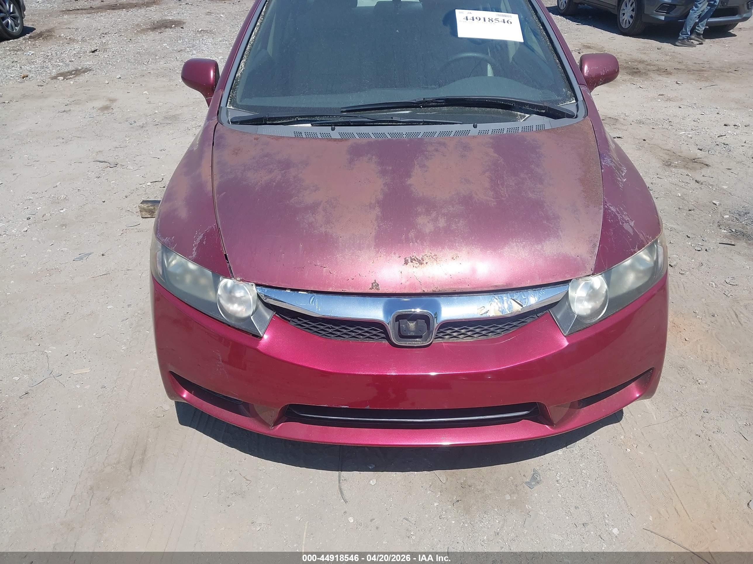 HONDA CIVIC image 6