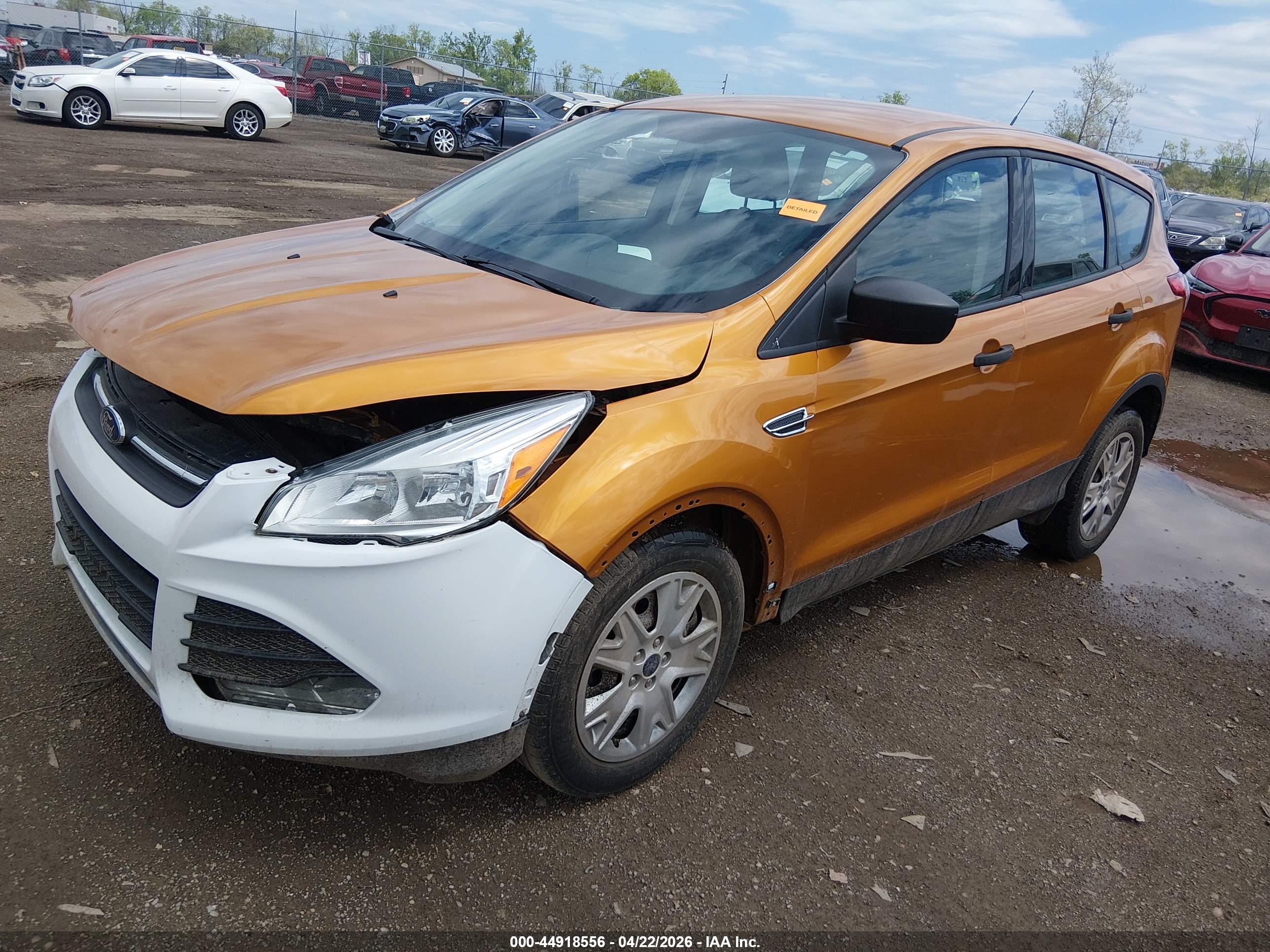 FORD ESCAPE image 2