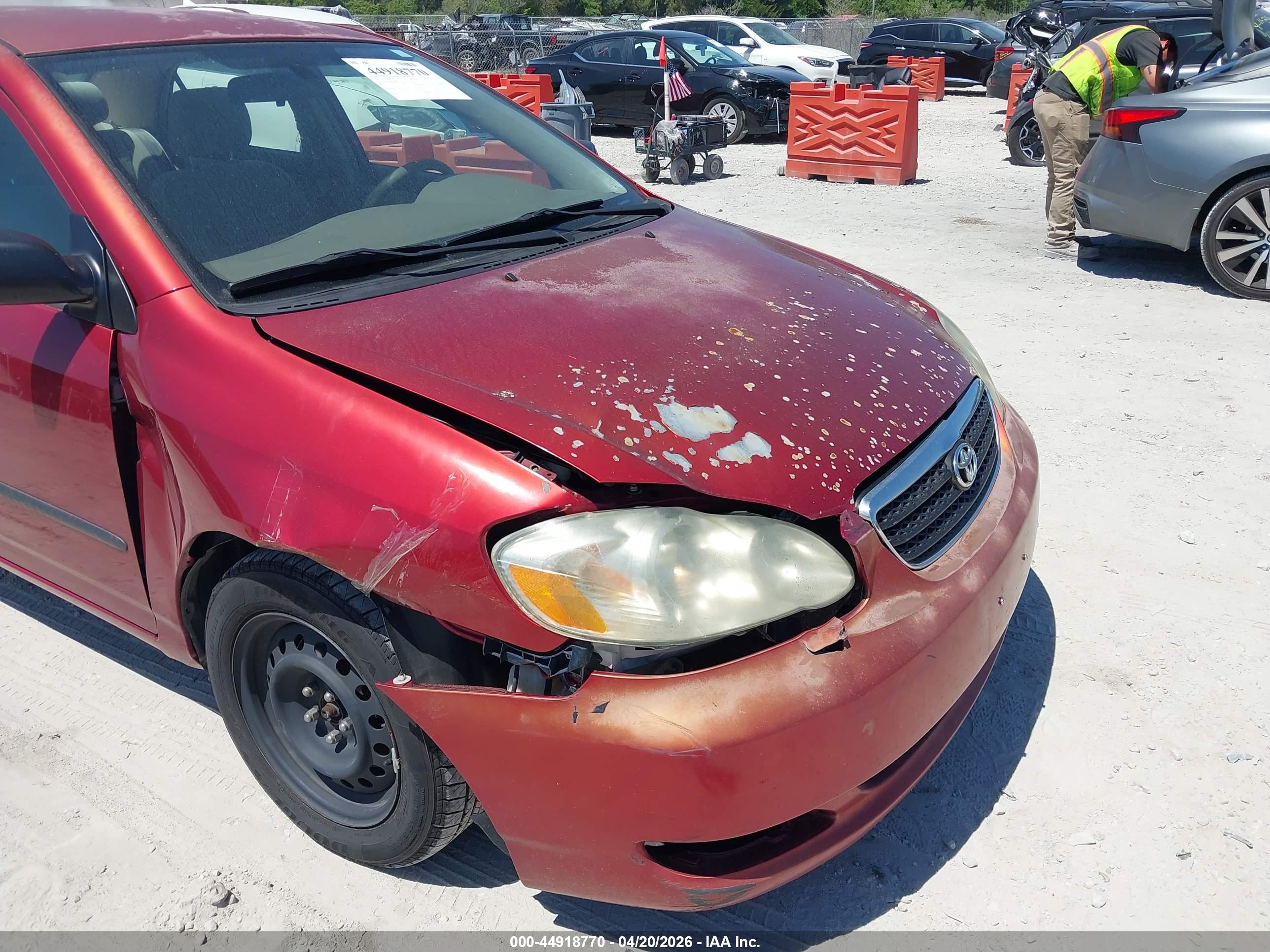 TOYOTA COROLLA image 6