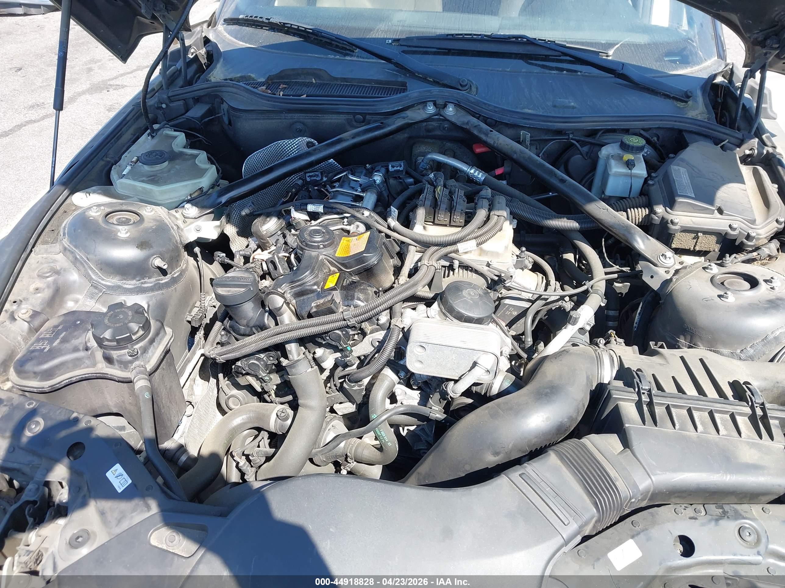 BMW Z4 image 10