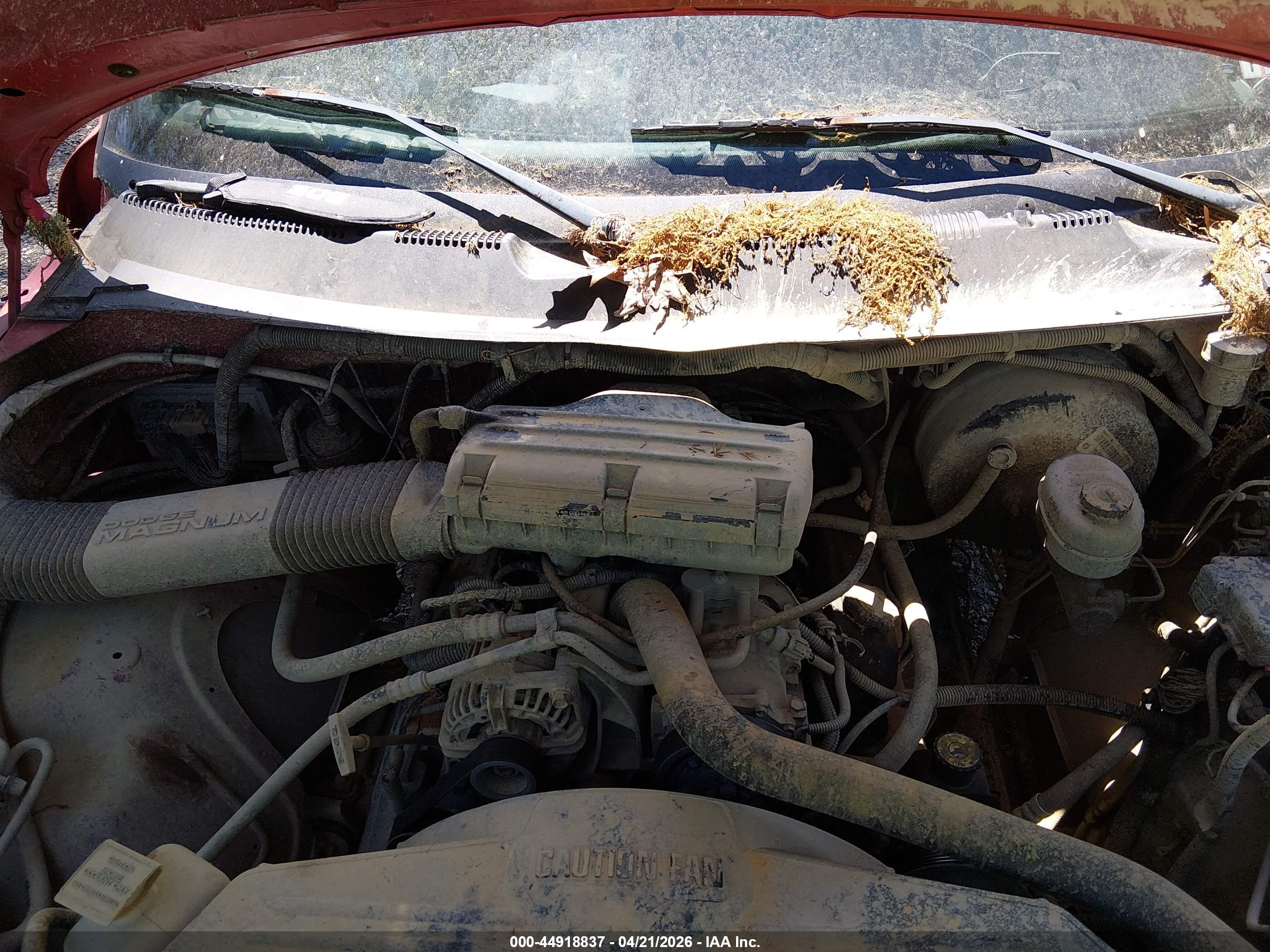 DODGE RAM image 10