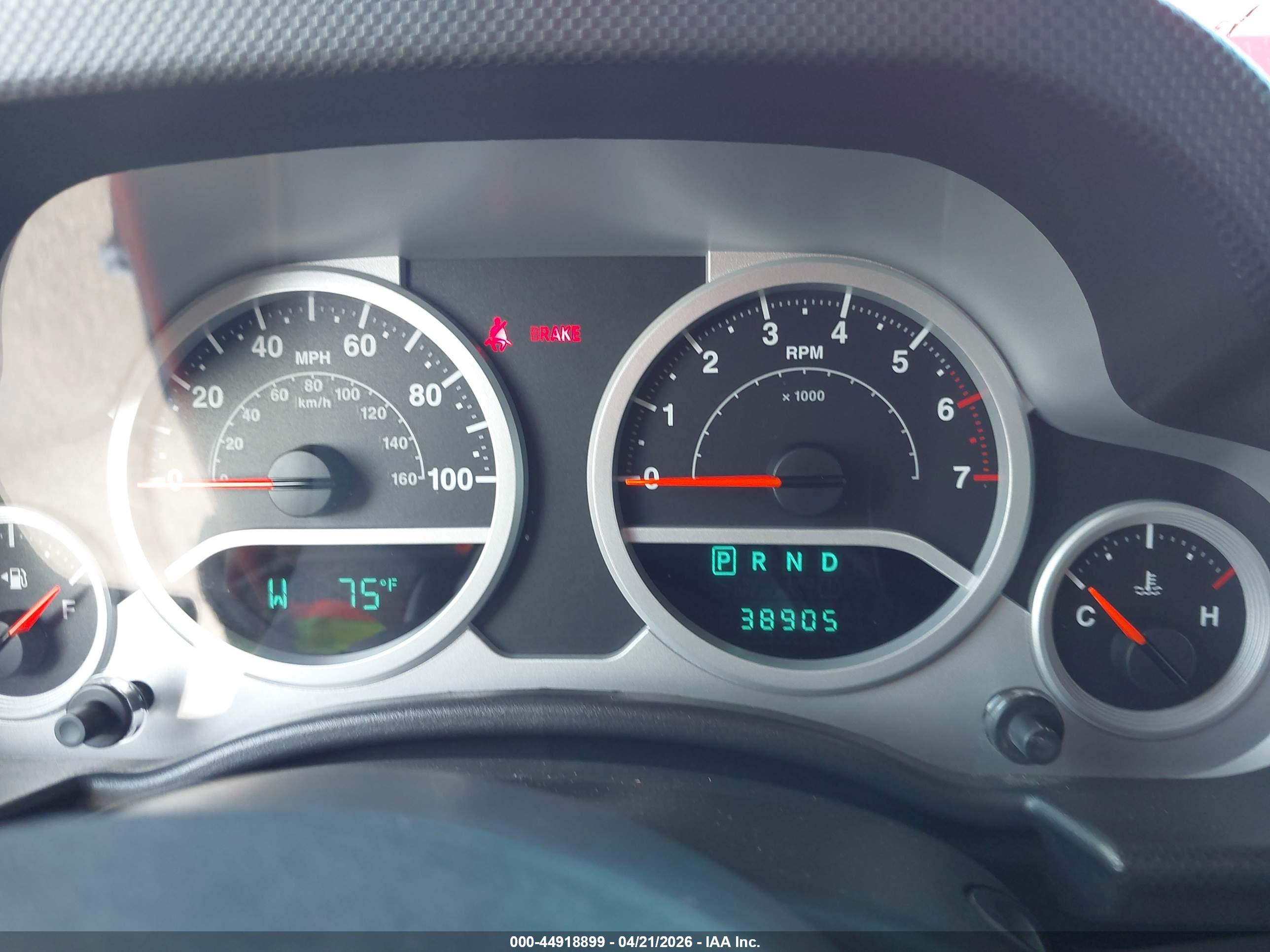 JEEP WRANGLER image 7