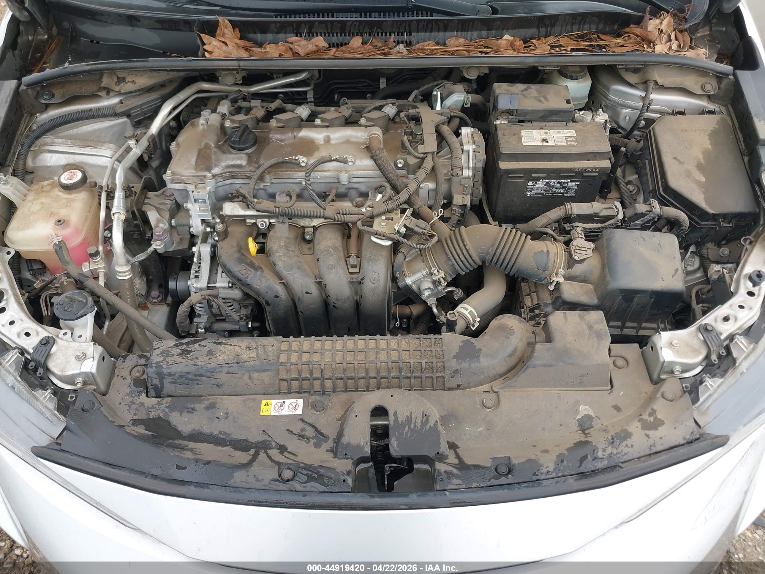 TOYOTA COROLLA image 10