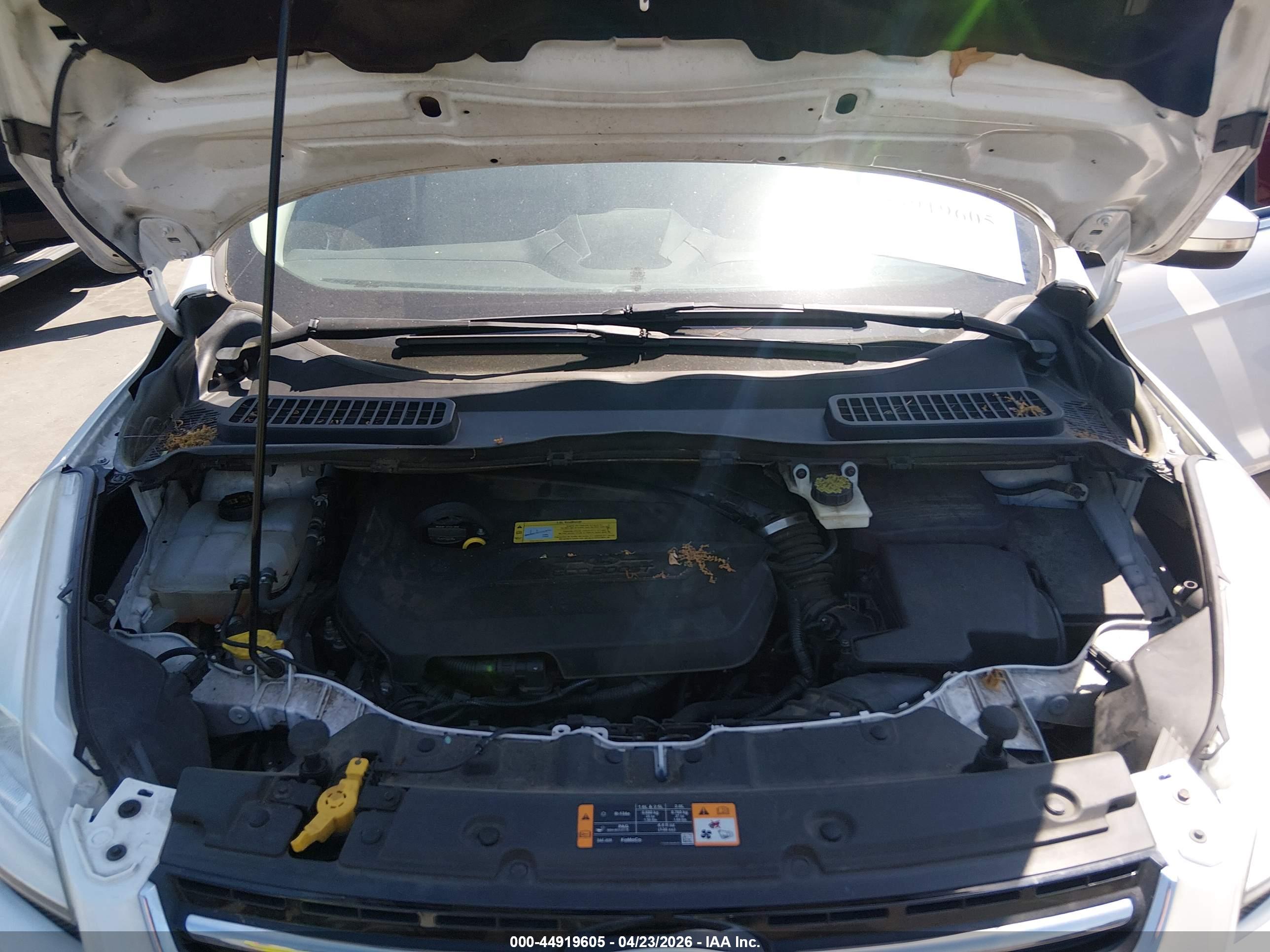 FORD ESCAPE image 10