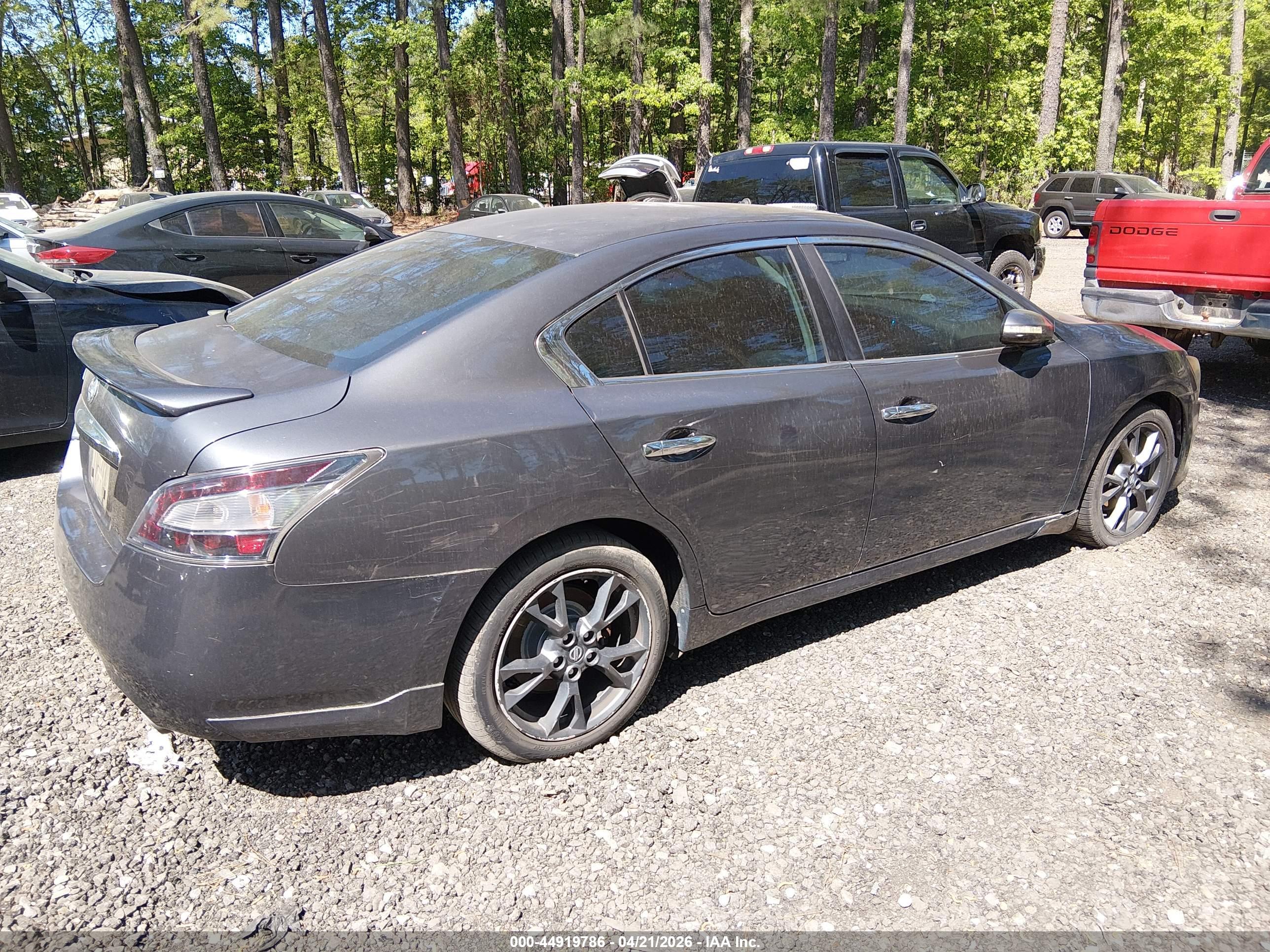 NISSAN MAXIMA image 4