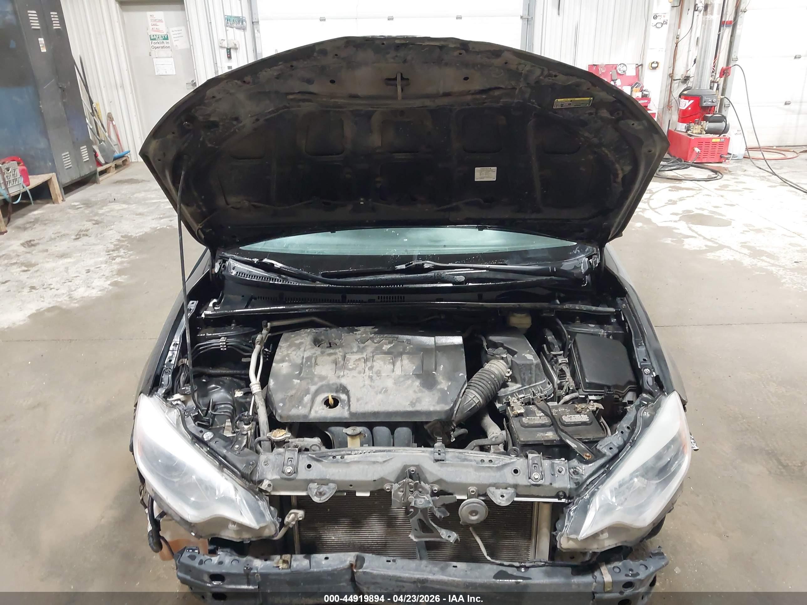 TOYOTA COROLLA image 10