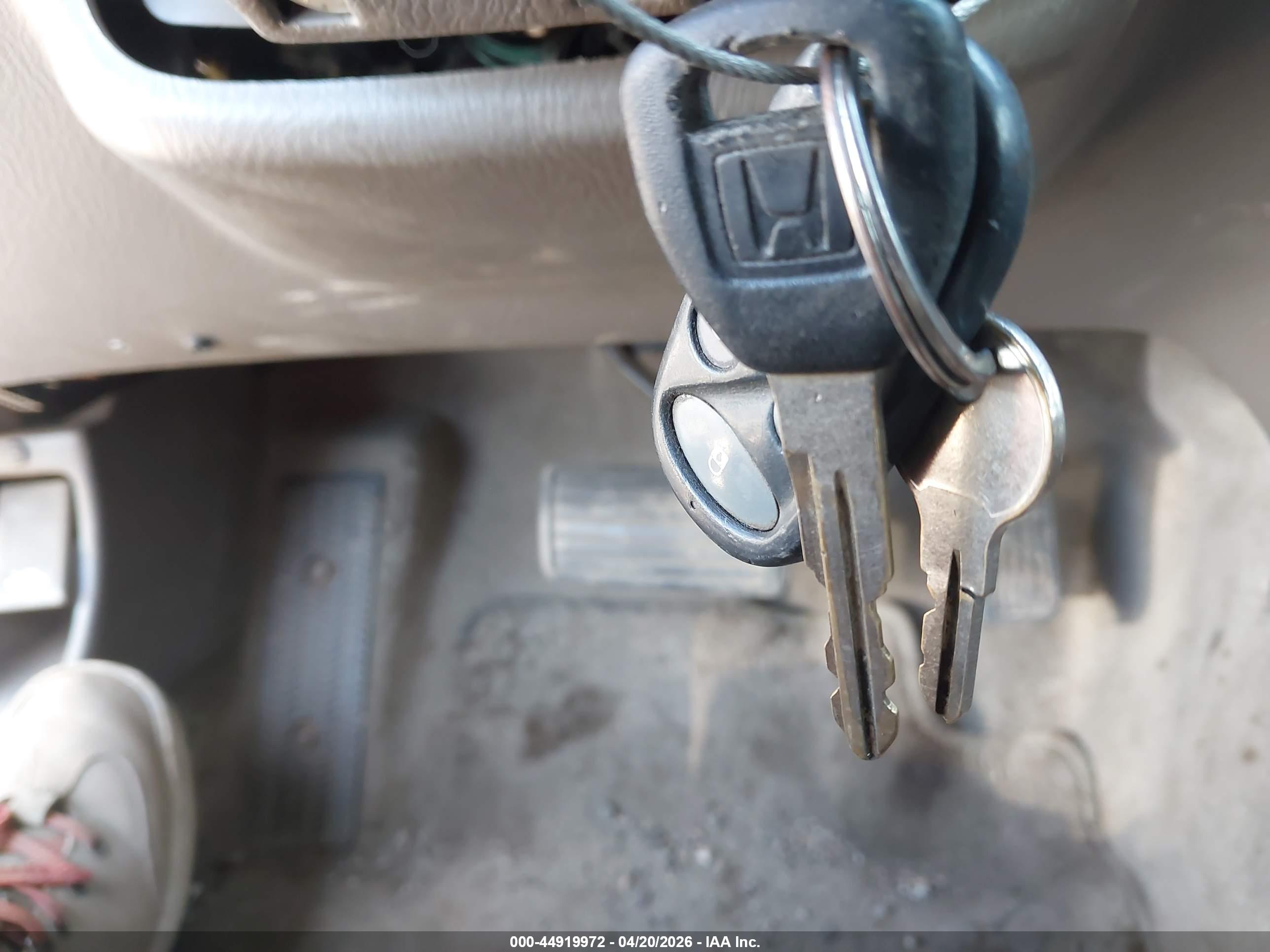 HONDA ACCORD image 11