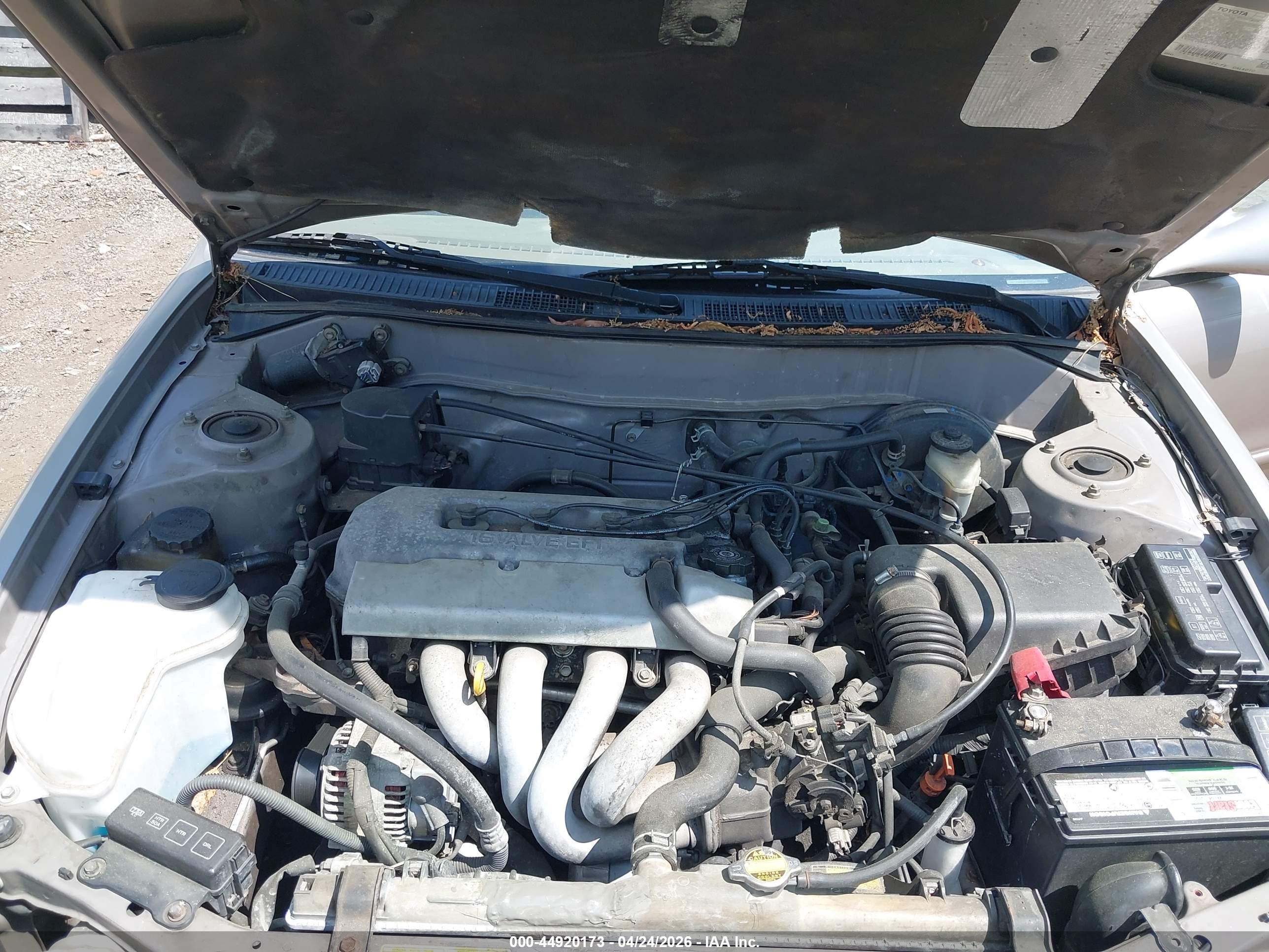 TOYOTA COROLLA image 10