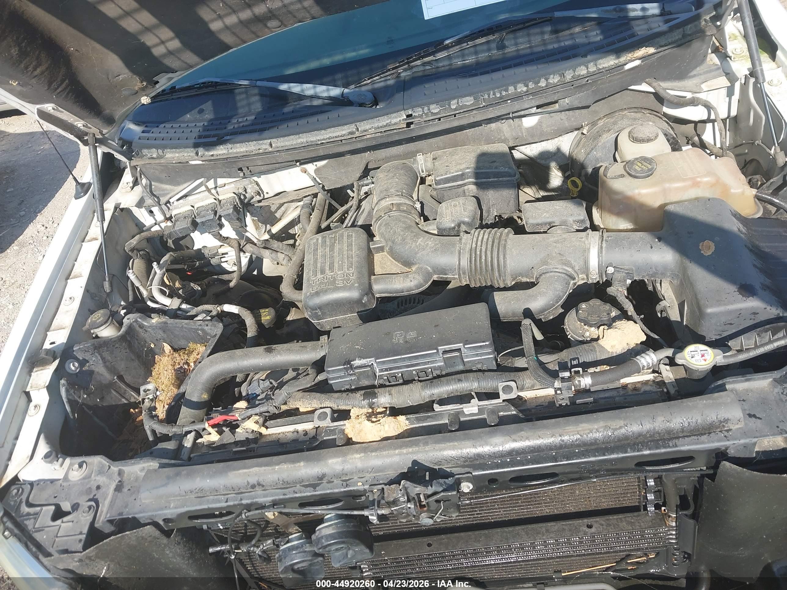FORD F-150 image 10
