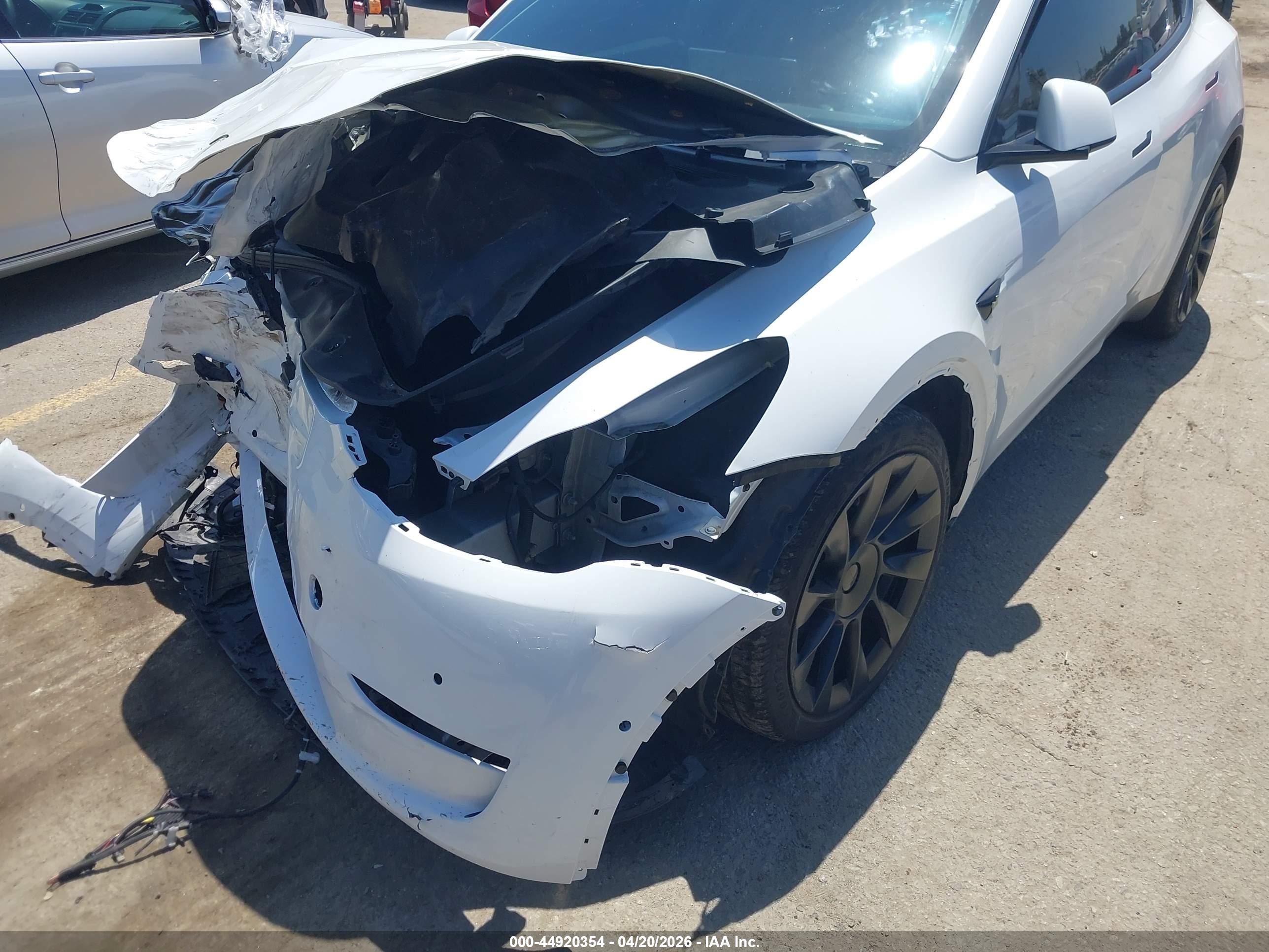 TESLA MODEL image 6
